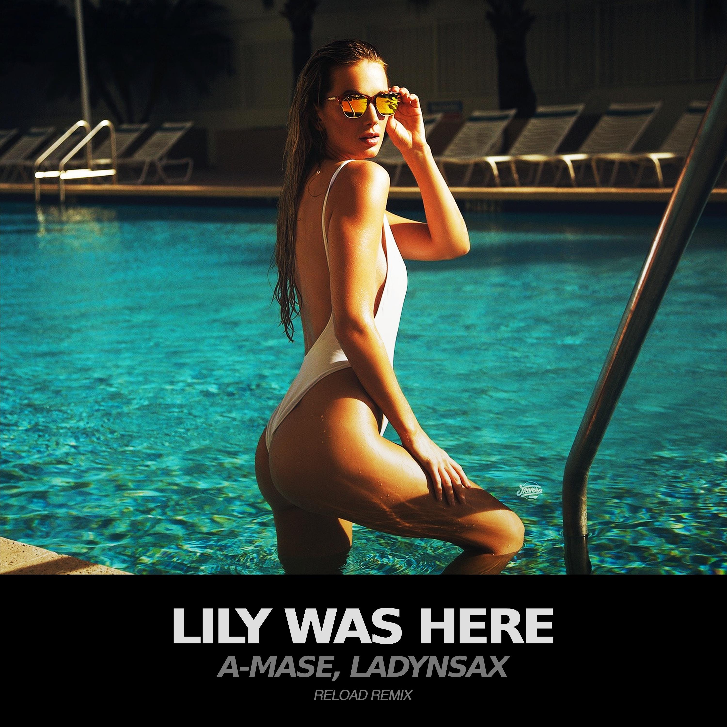 Постер альбома Lily Was Here Remix