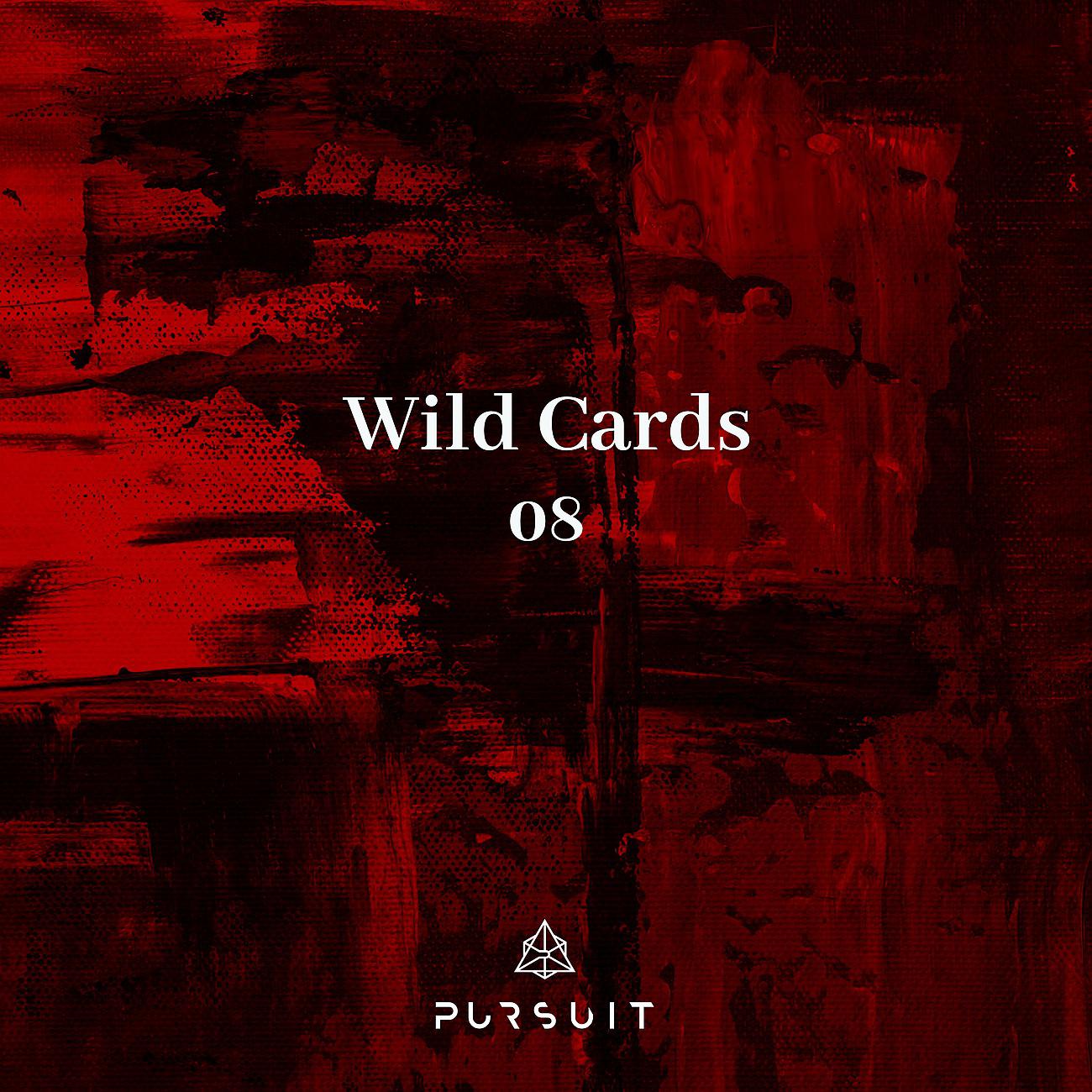 Постер альбома Wild Cards 08