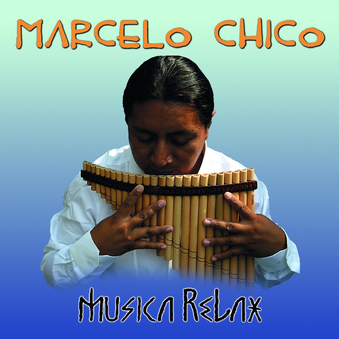 Постер альбома Musica Relax
