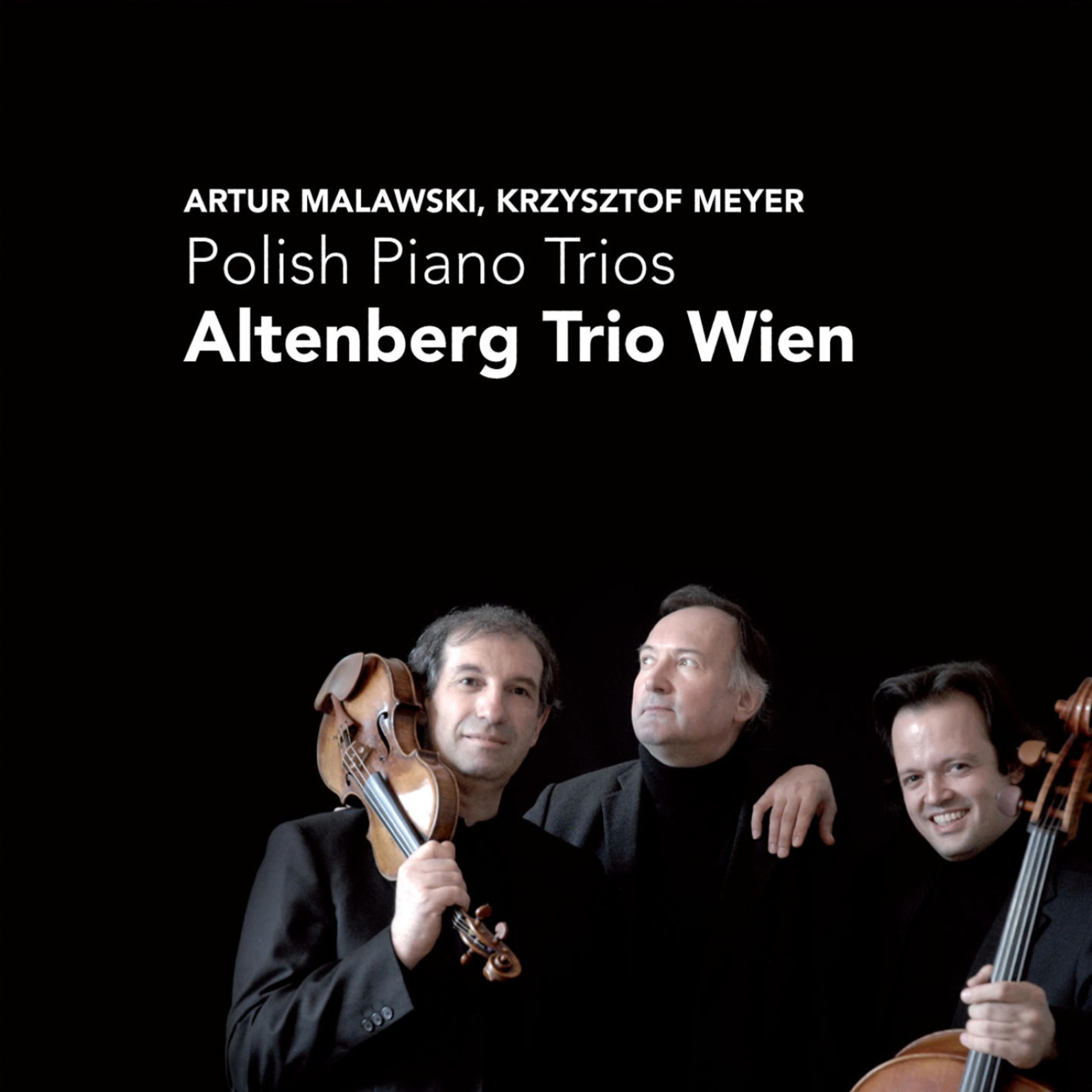 Постер альбома Malawski, Krzysztof: Polish Piano Trios