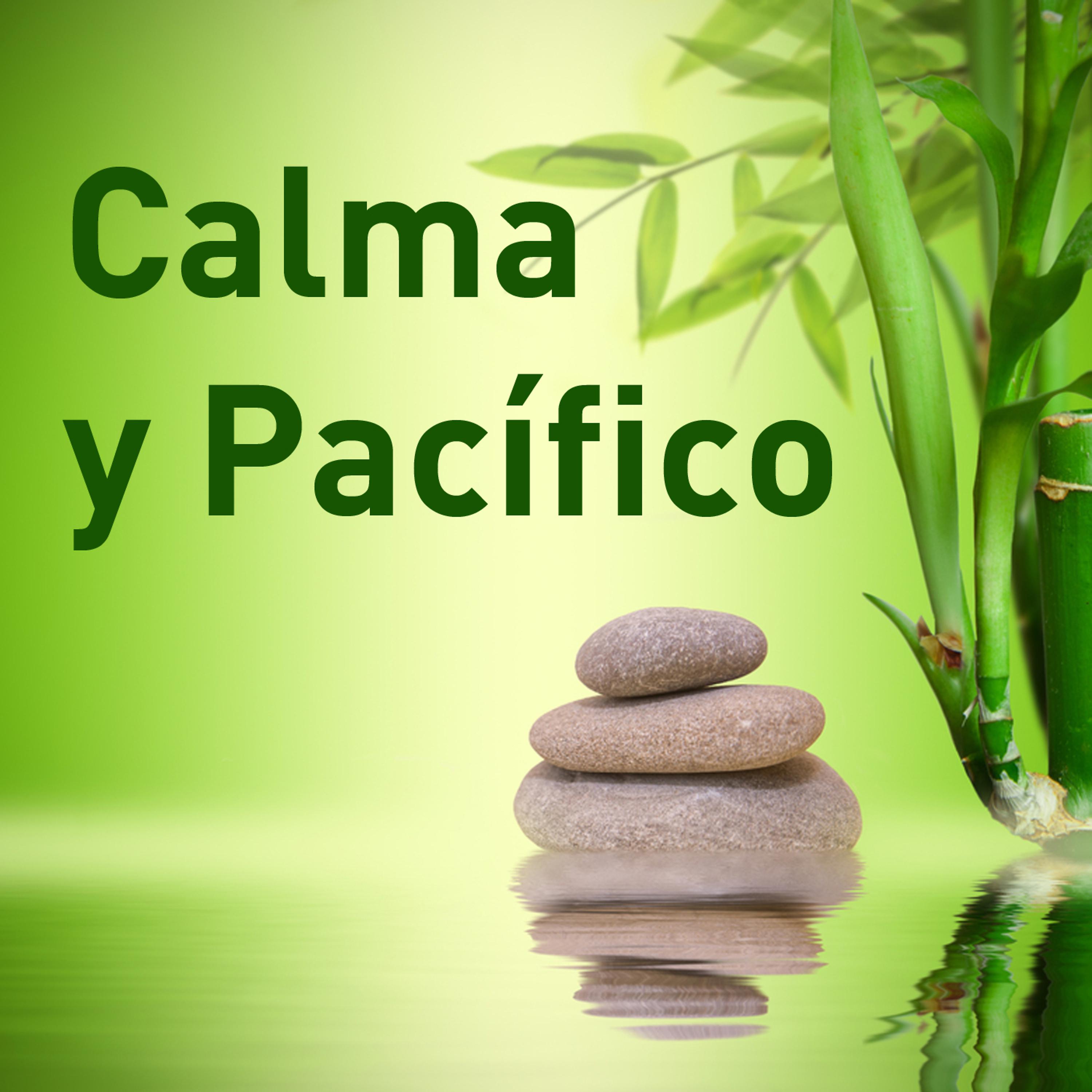 Постер альбома Calma y Pacífico