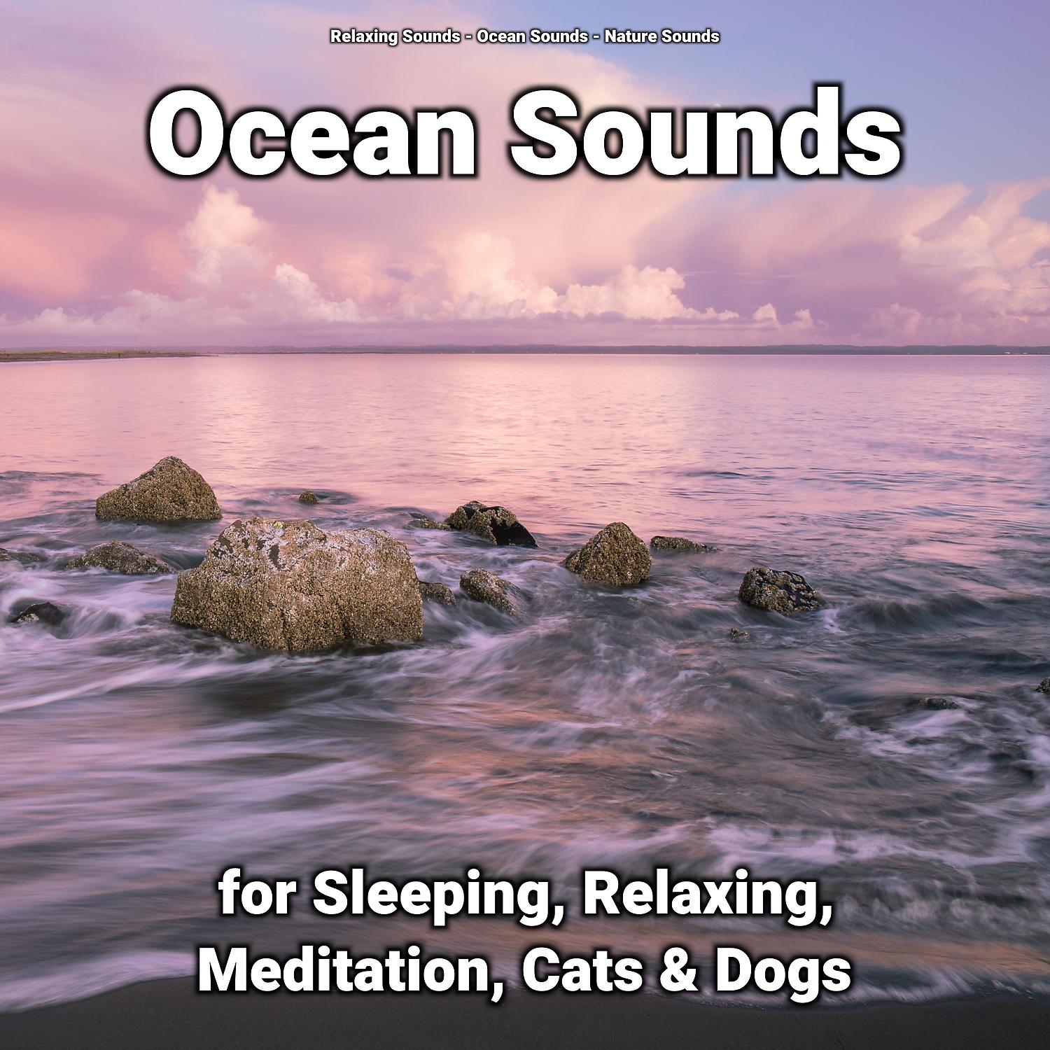 Постер альбома Ocean Sounds for Sleeping, Relaxing, Meditation, Cats & Dogs