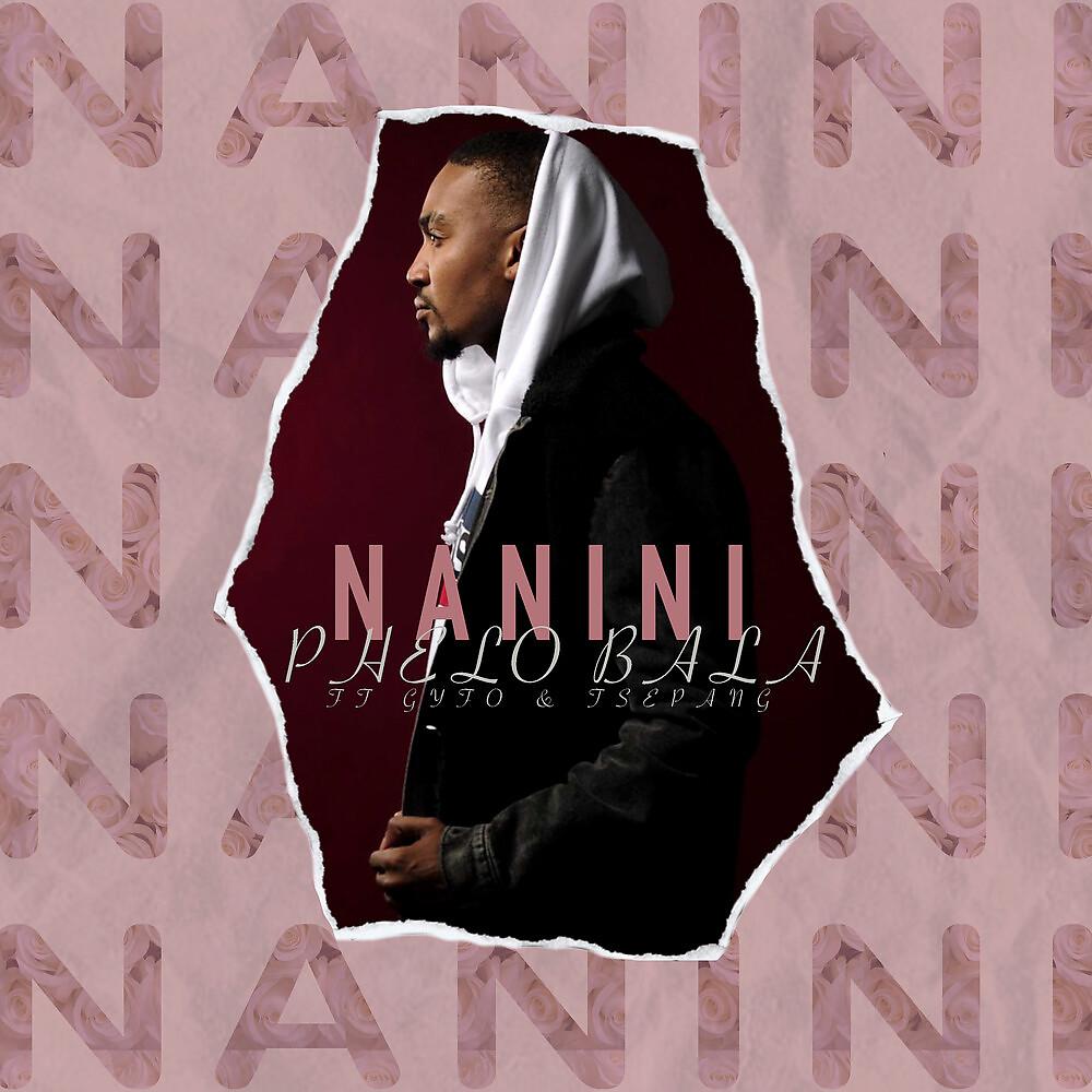 Постер альбома Nanini