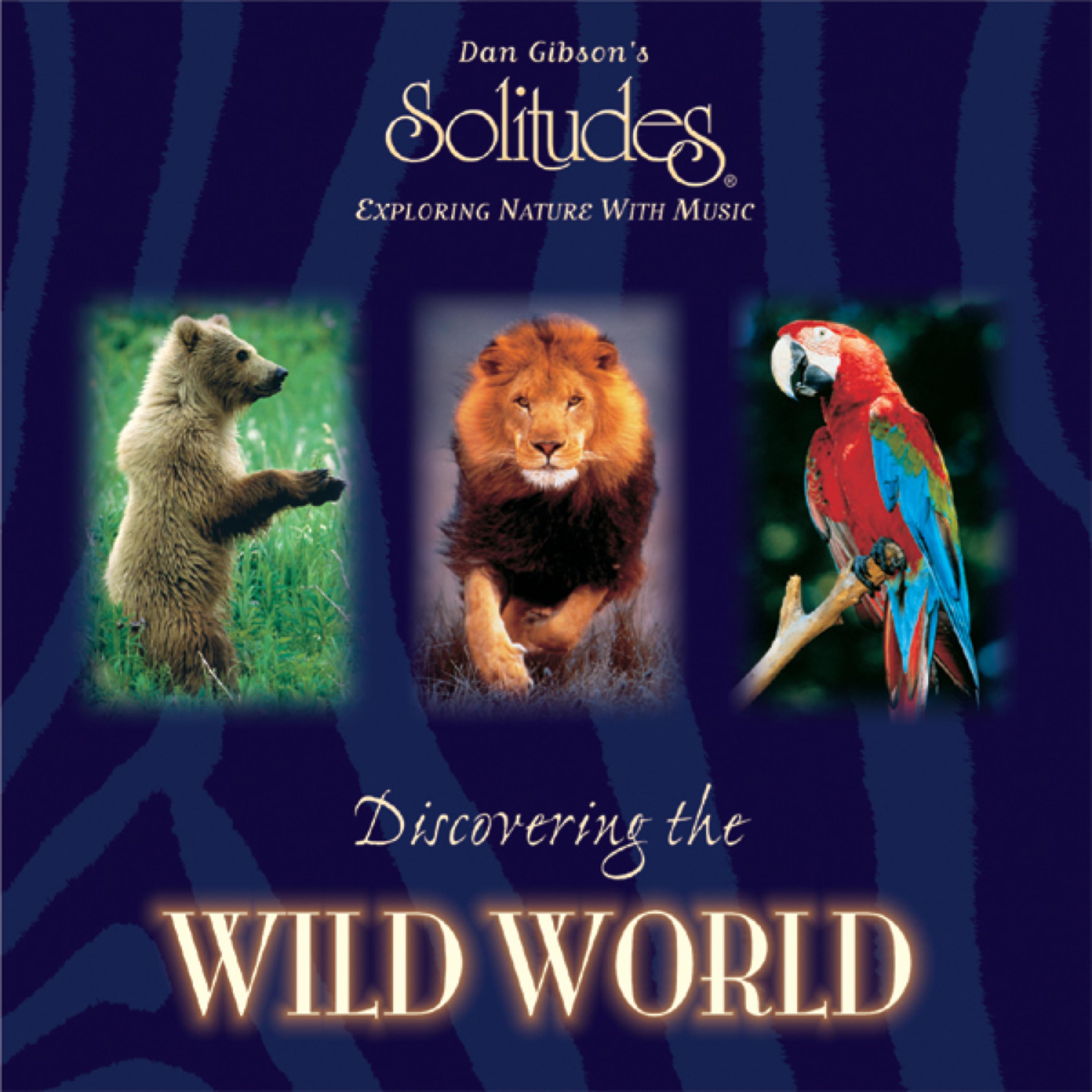 Постер альбома Discovering the Wild World