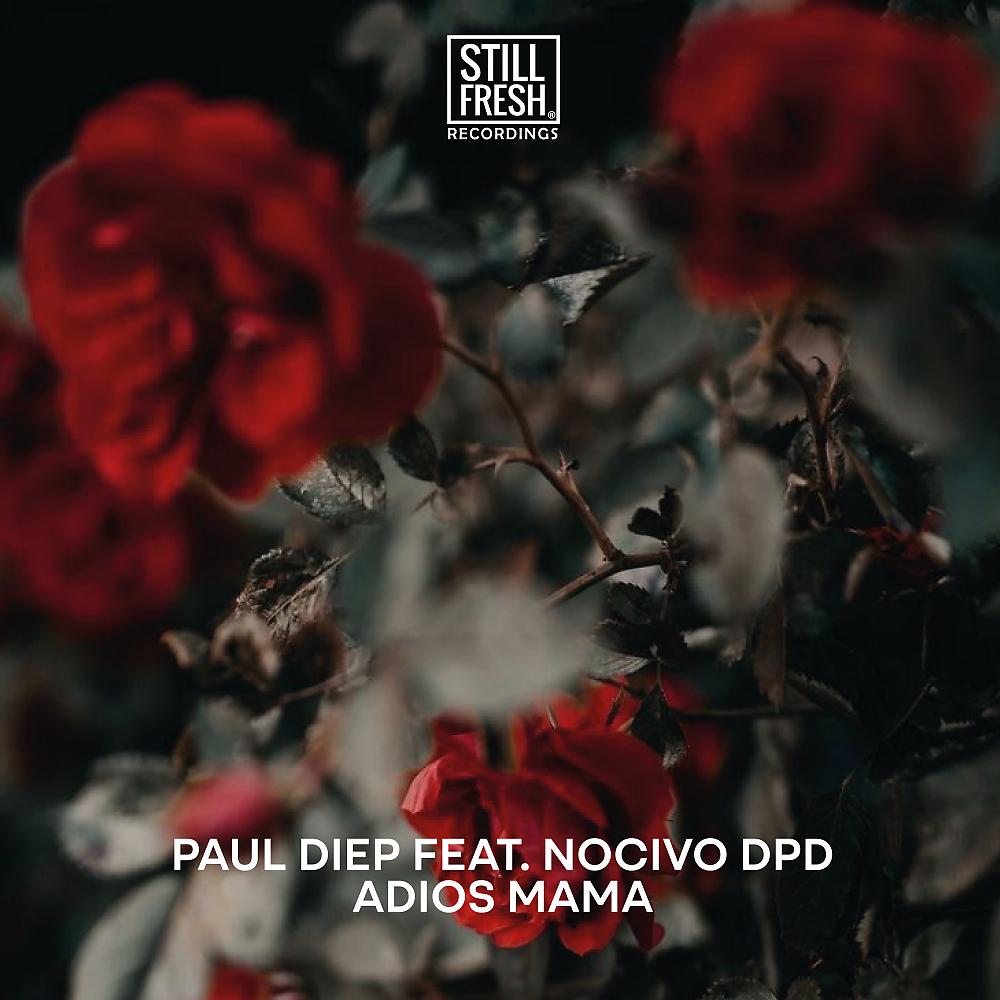 Постер альбома Adios Mama