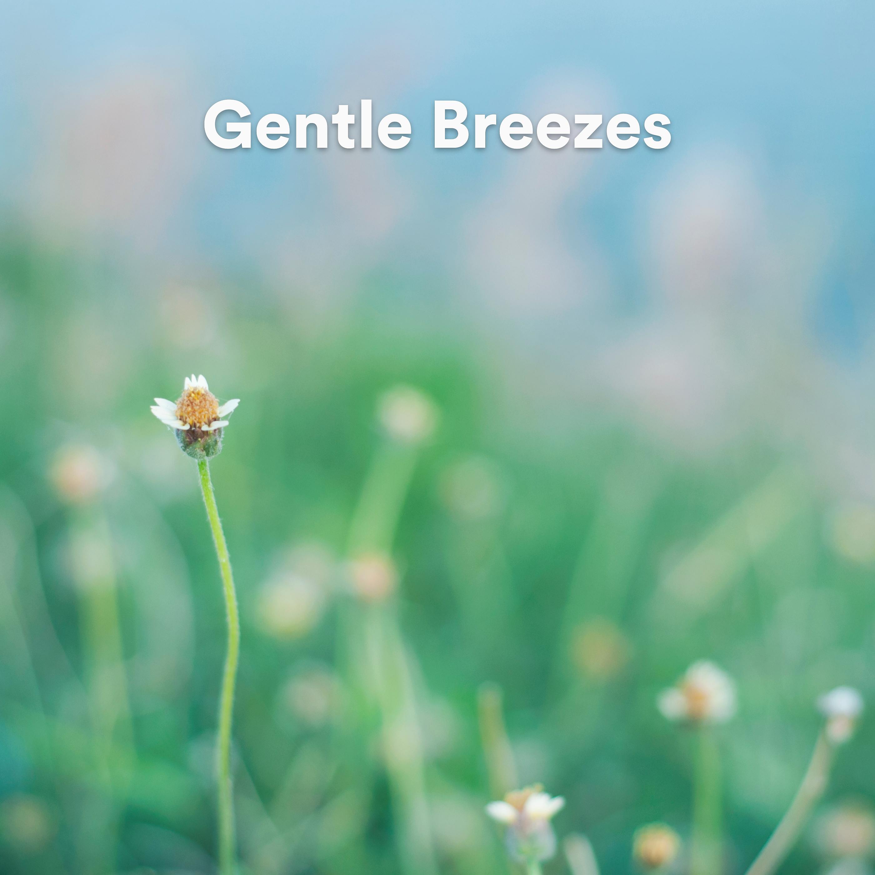 Постер альбома Gentle Breezes
