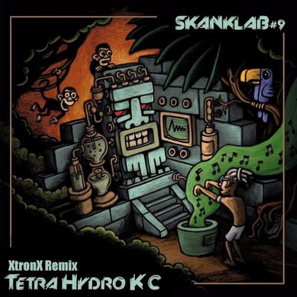 Постер альбома Tetrahydrok - C (Xtronx Remix)