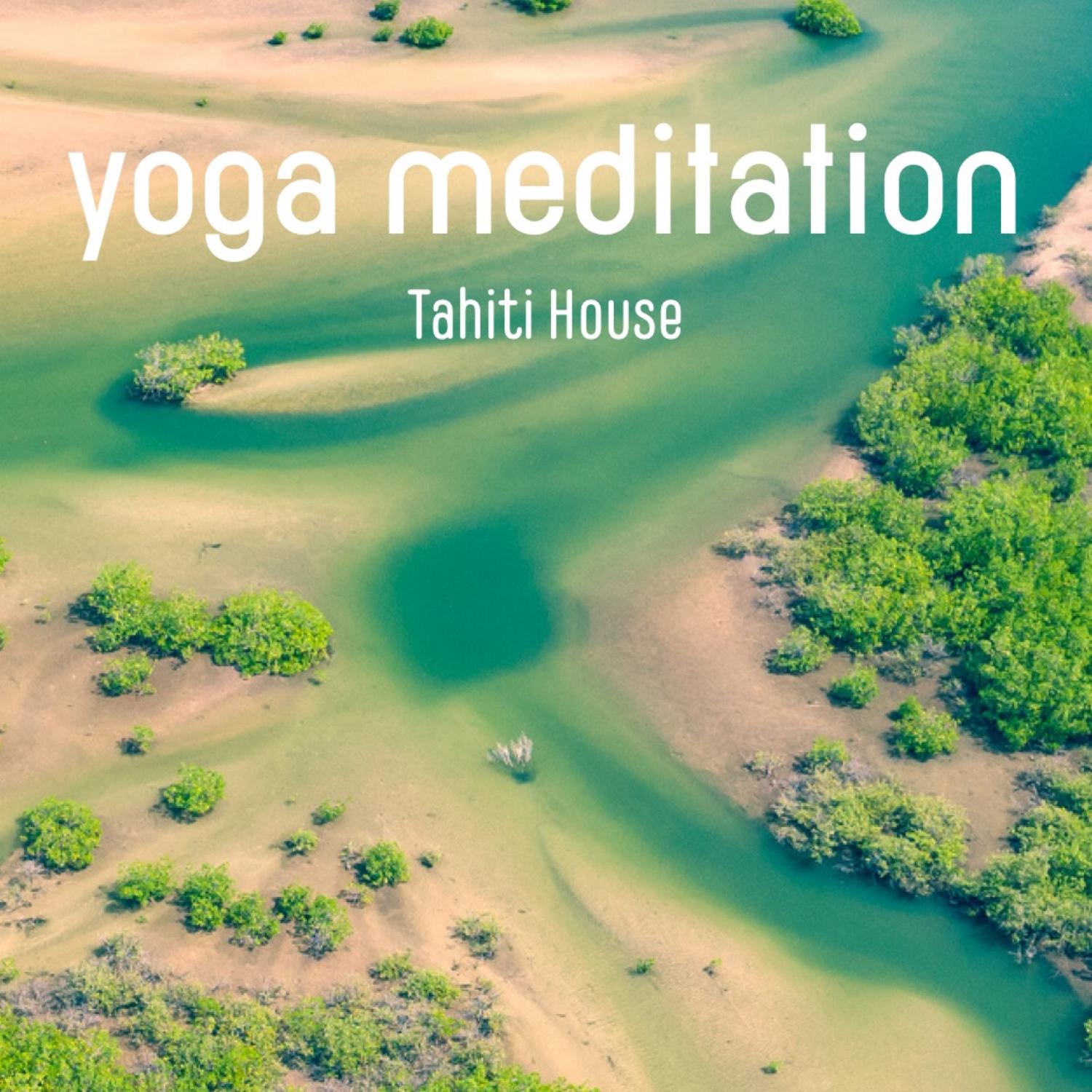Постер альбома Yoga Meditation