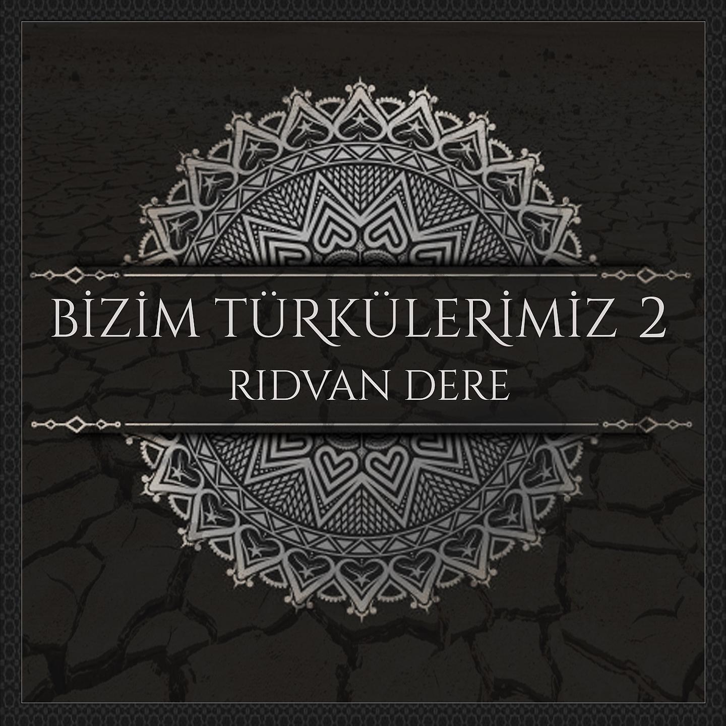 Постер альбома Bizim Türkülerimiz, Vol. 2