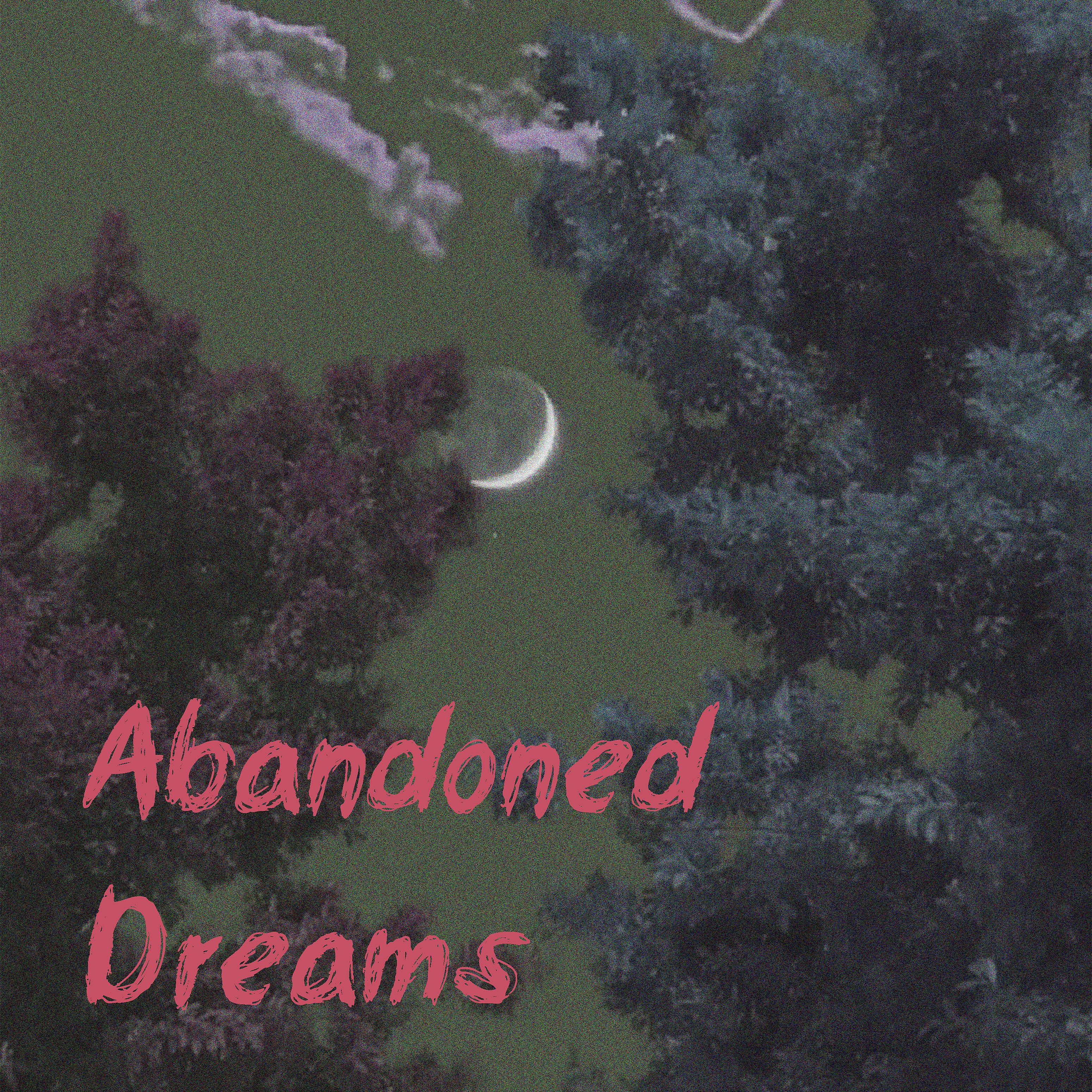 Постер альбома Abandoned Dreams