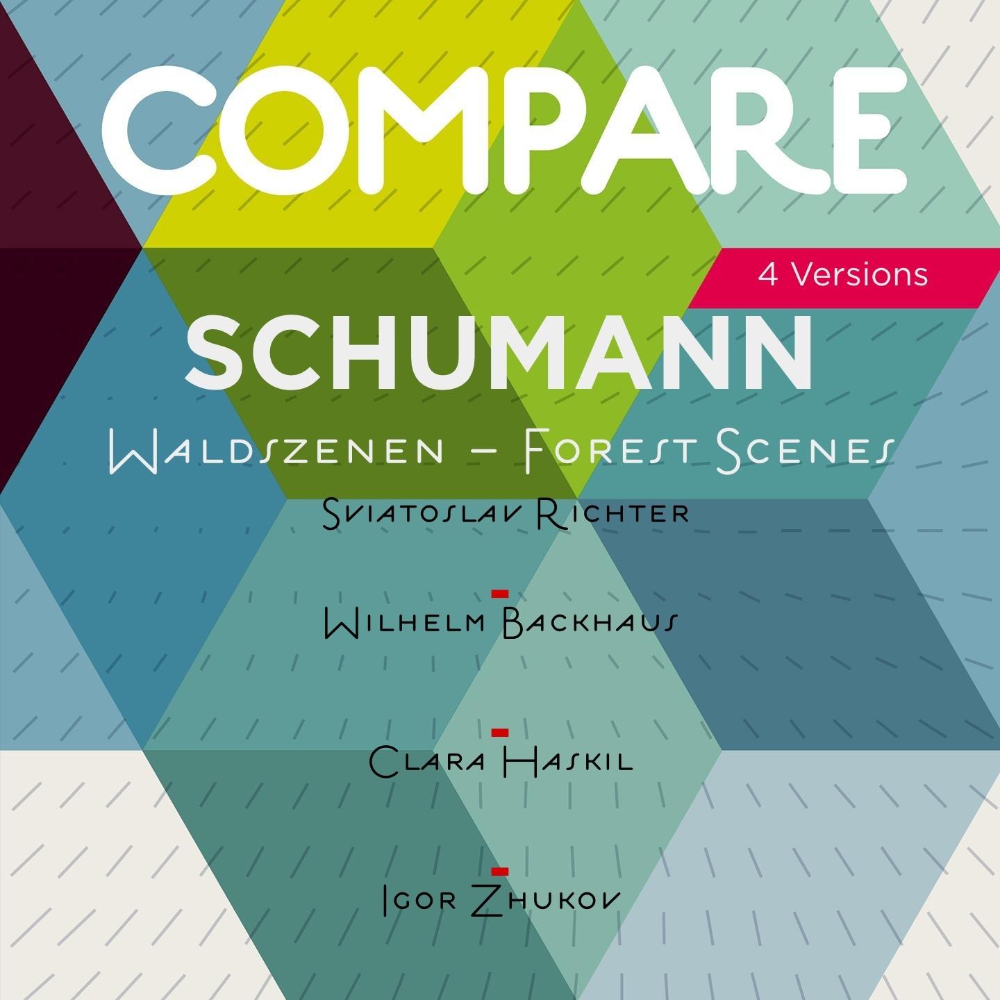 Постер альбома Schumann: Waldszenen, Op. 82, Sviatoslav Richter vs. Wilhelm Backhaus vs. Clara Haskil vs. Igor Zhukov (Compare 4 Versions)