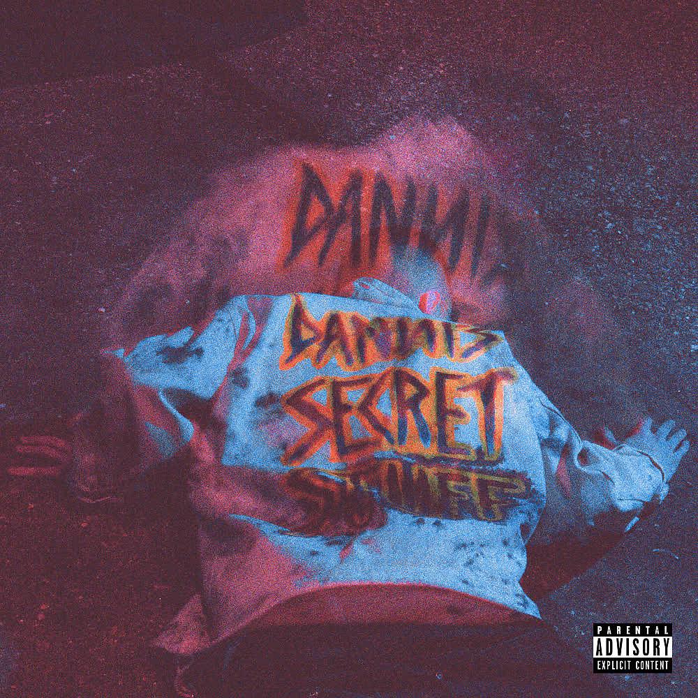 Постер альбома Danni´s Secret Stuff