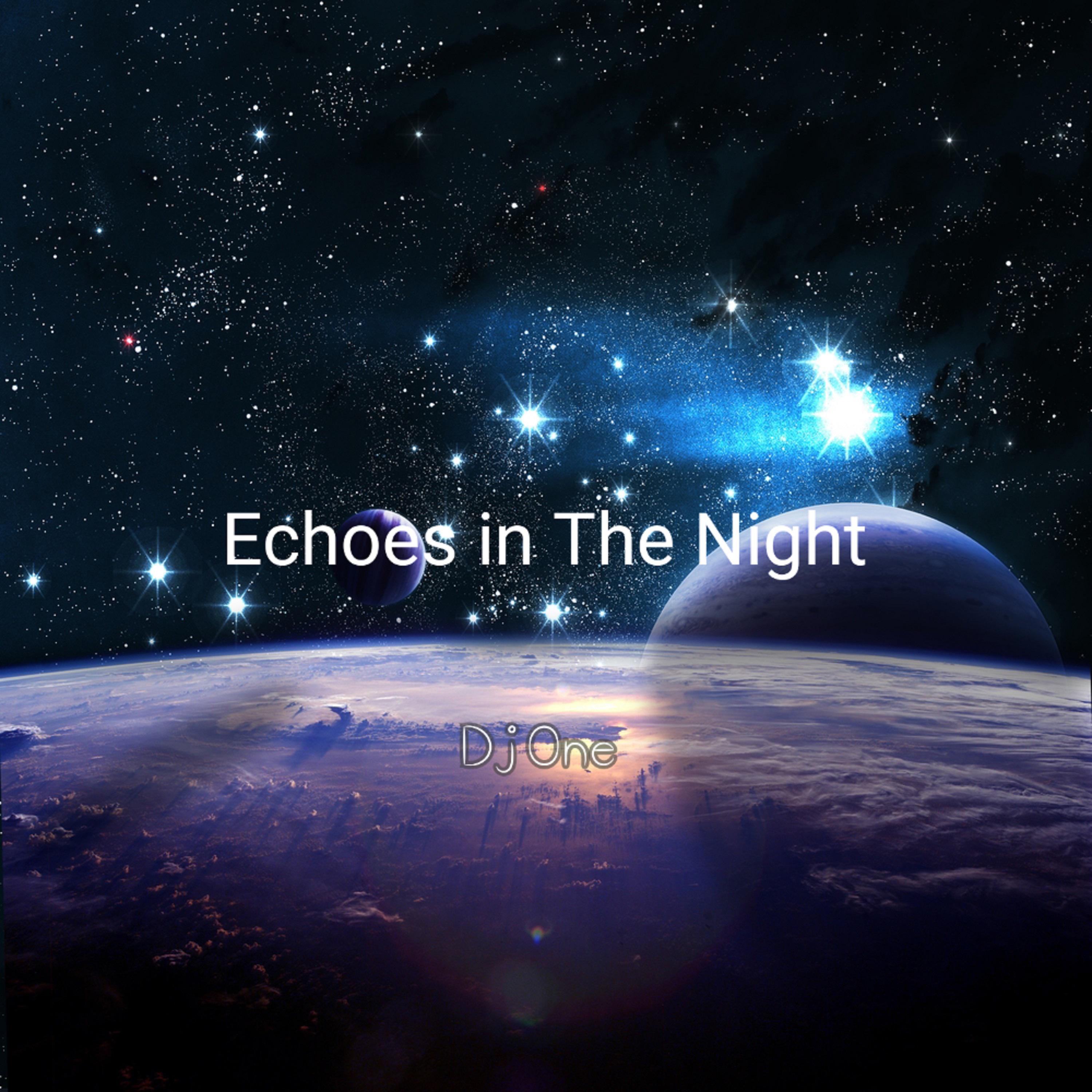 Постер альбома Echoes in the Night
