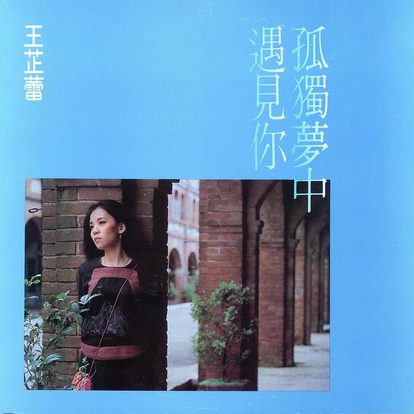 Постер альбома Gu Du Meng Zhong