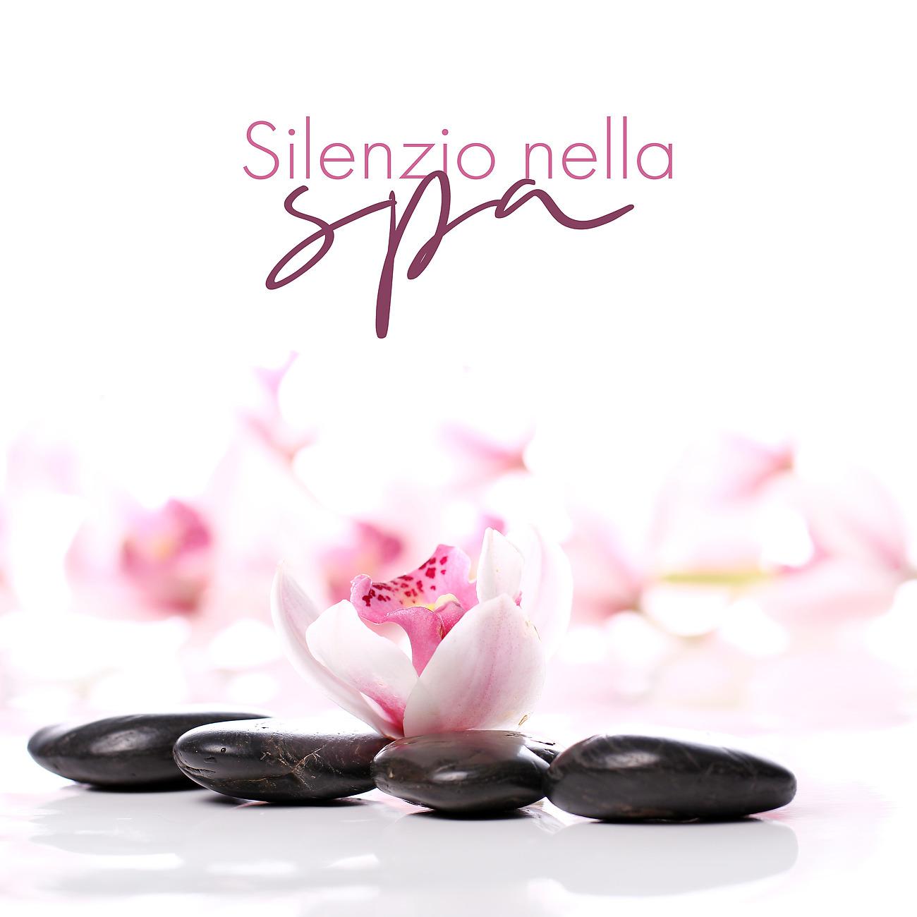 Постер альбома Silenzio nella spa - Naturalmente bella, Trattamenti interessanti, Cosmetici naturali