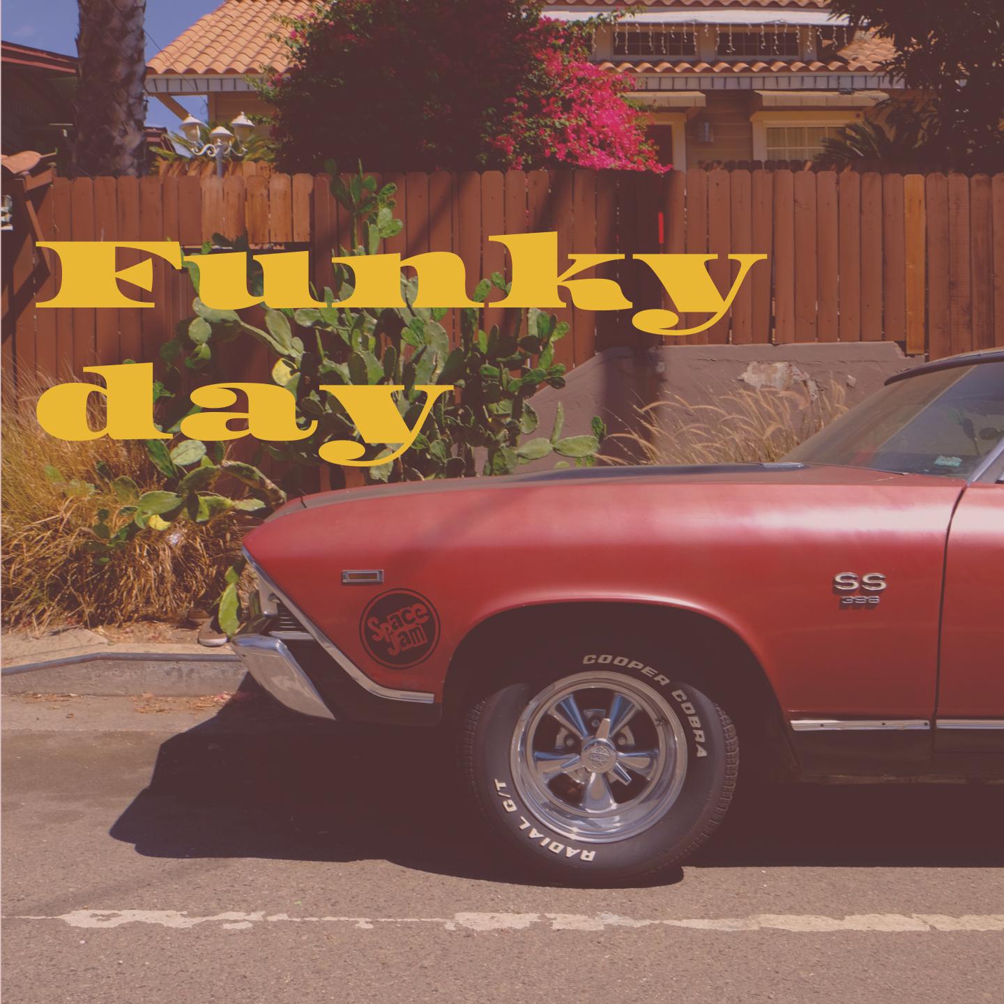 Постер альбома Funky day