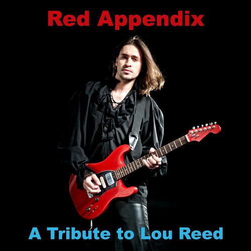 Постер альбома A Tribute To Lou Reed