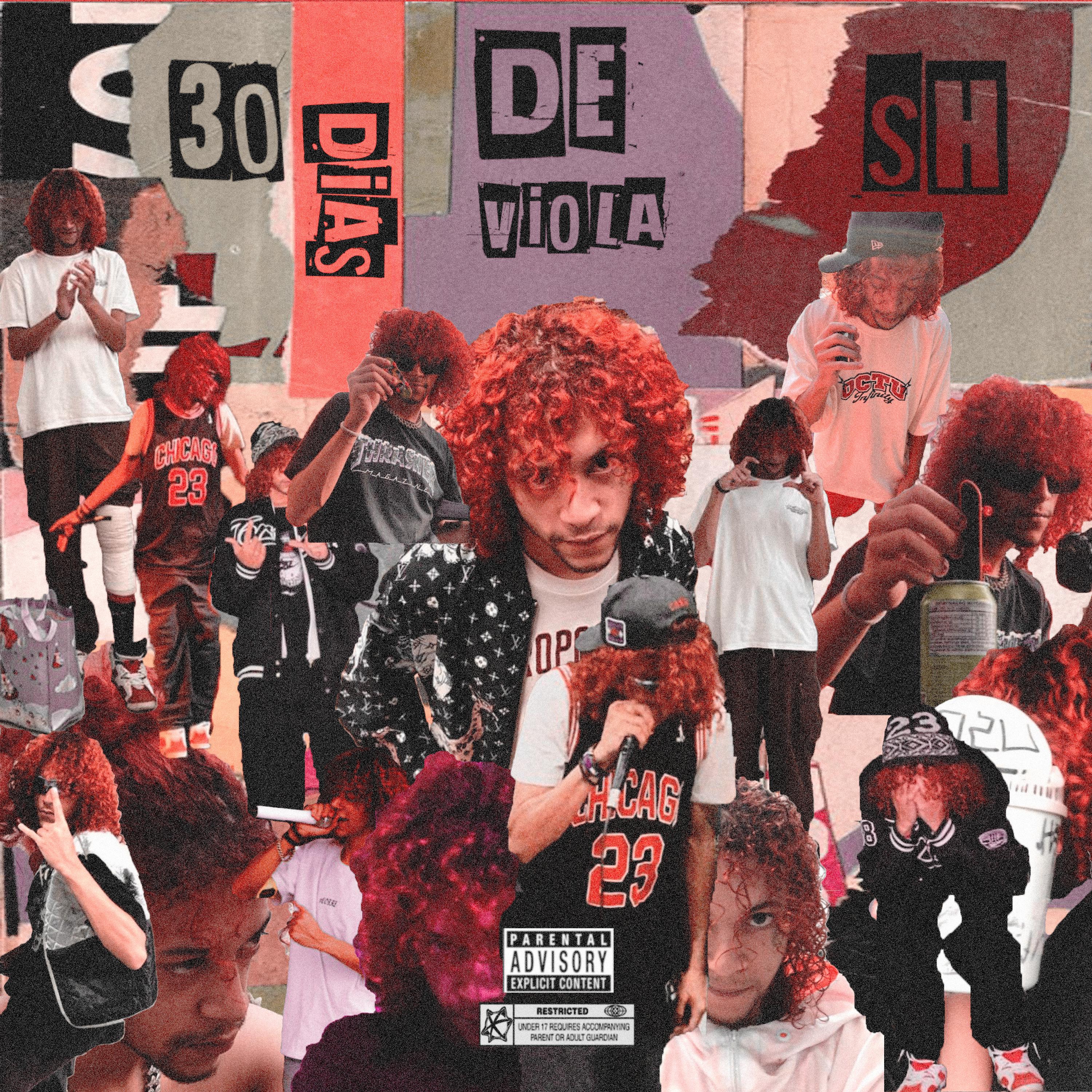 Постер альбома 30 Dias de Viola Sh