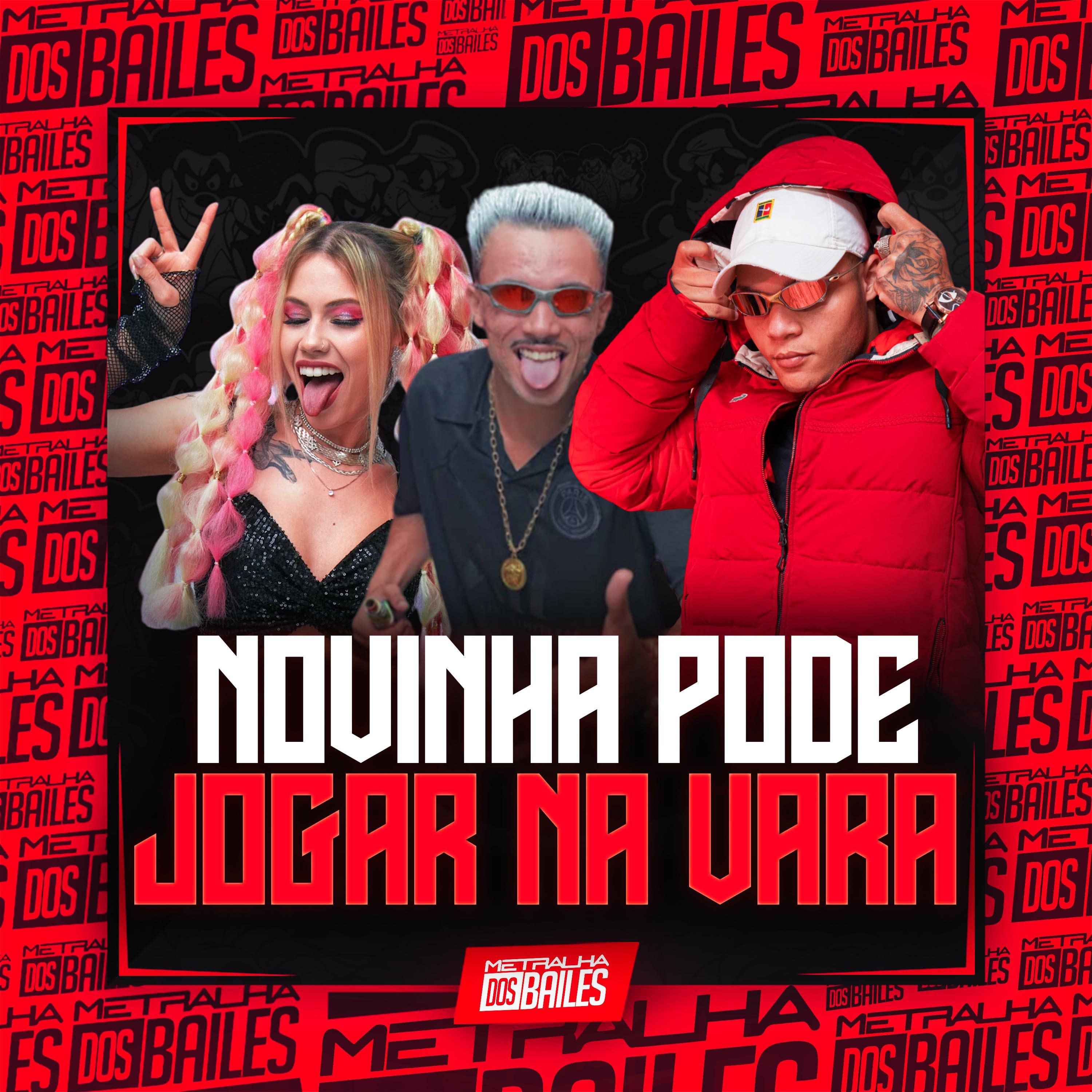 Постер альбома Novinha Pode Jogar na Vara