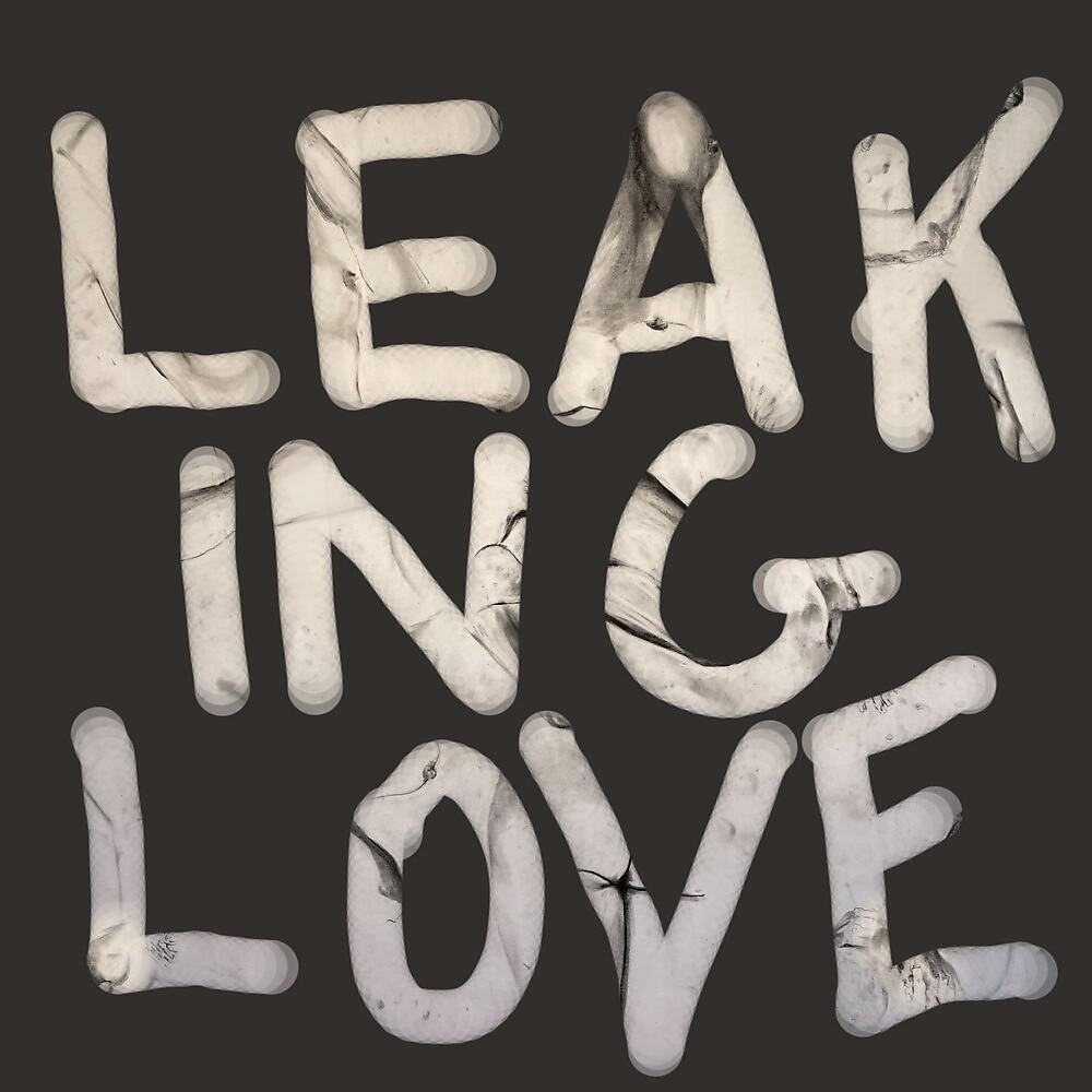 Постер альбома Leaking Love
