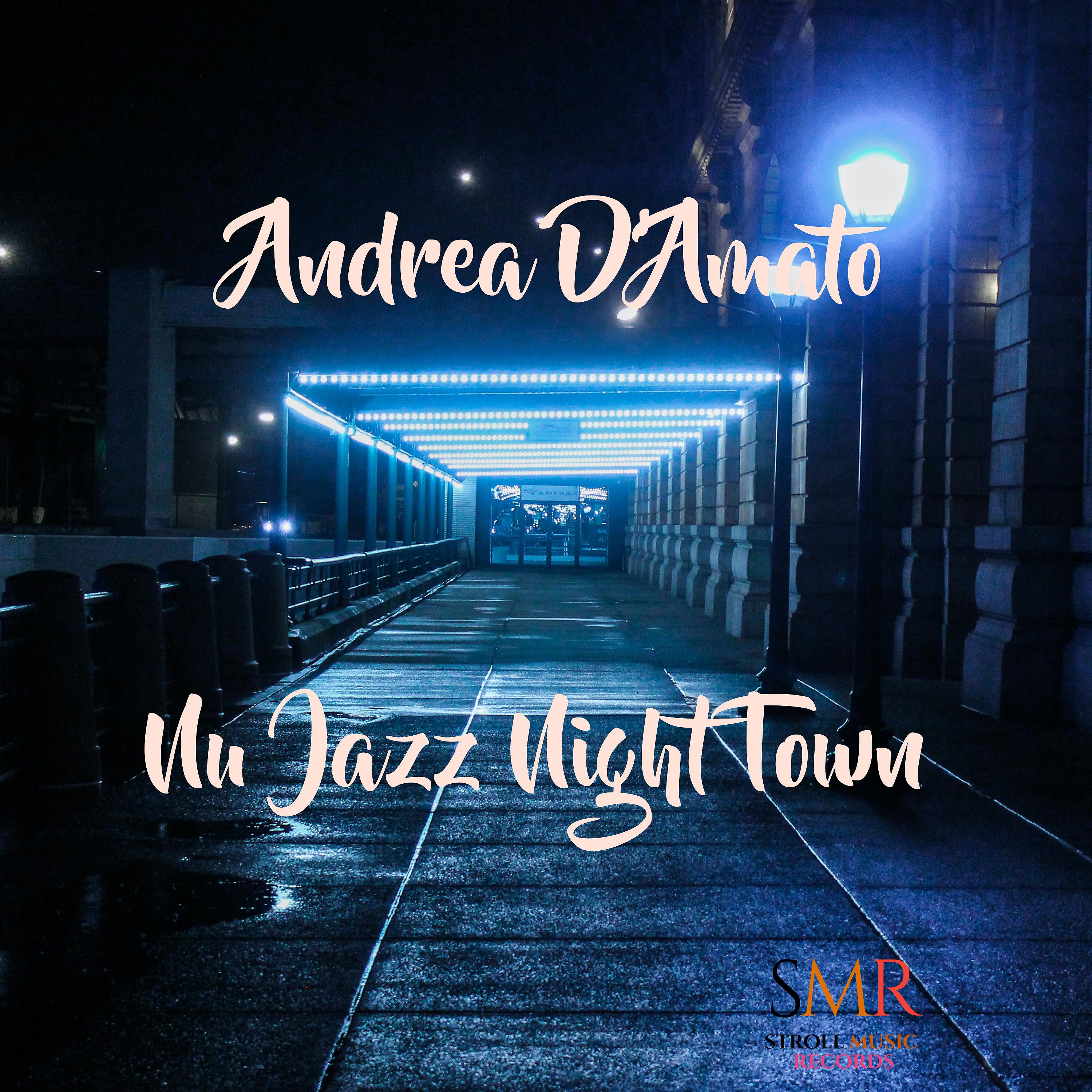 Постер альбома Nu Jazz Night Town
