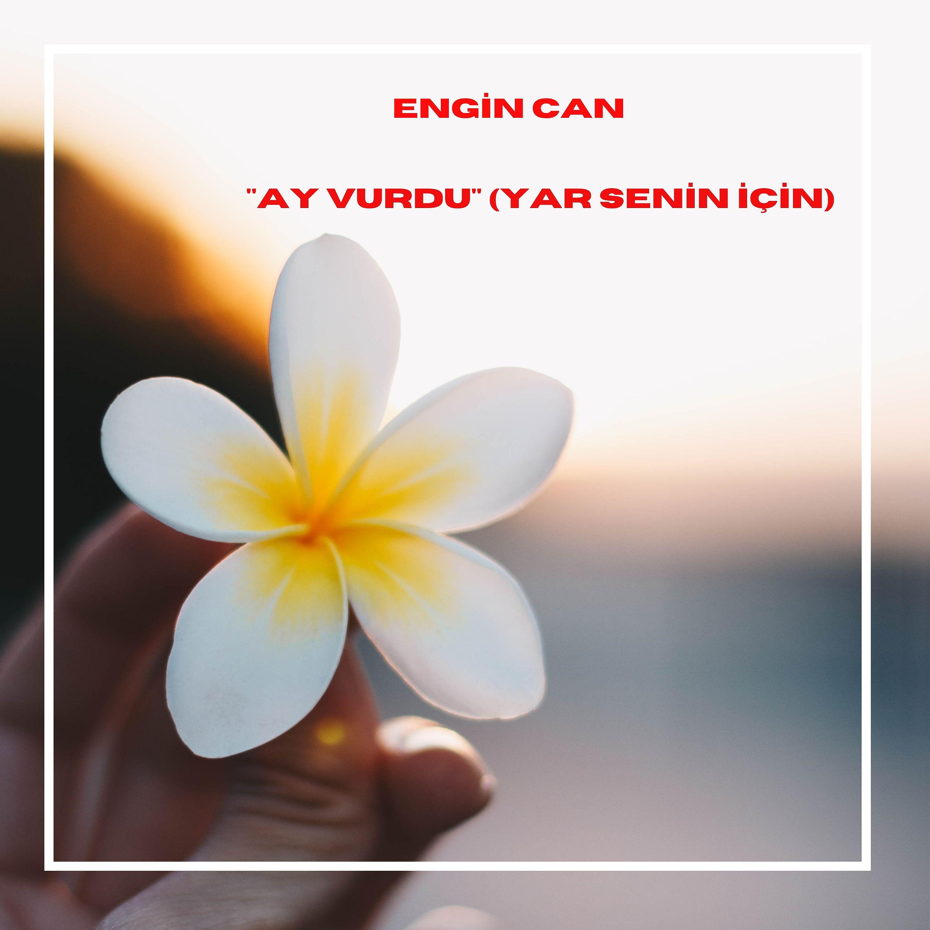 Постер альбома Ay Vurdu