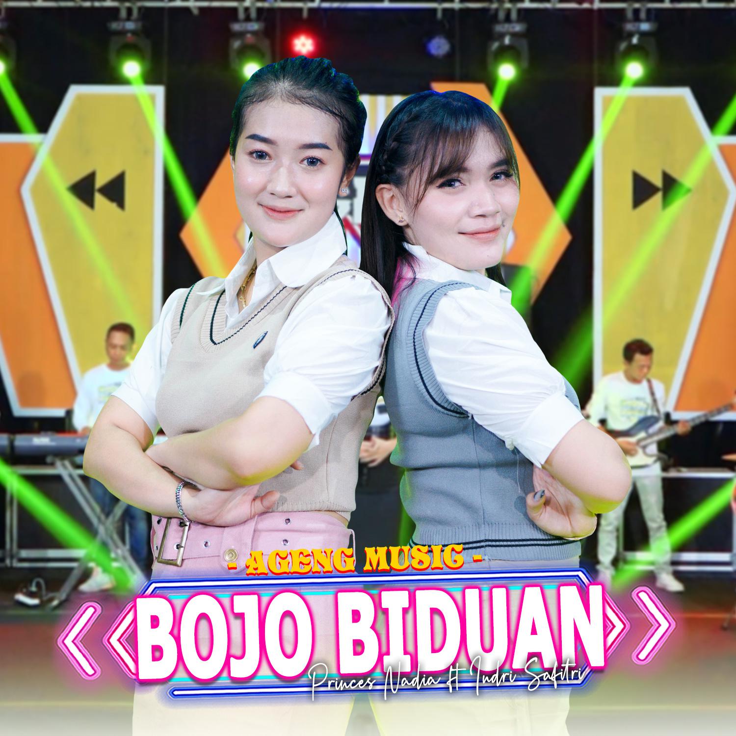 Постер альбома Bojo Biduan
