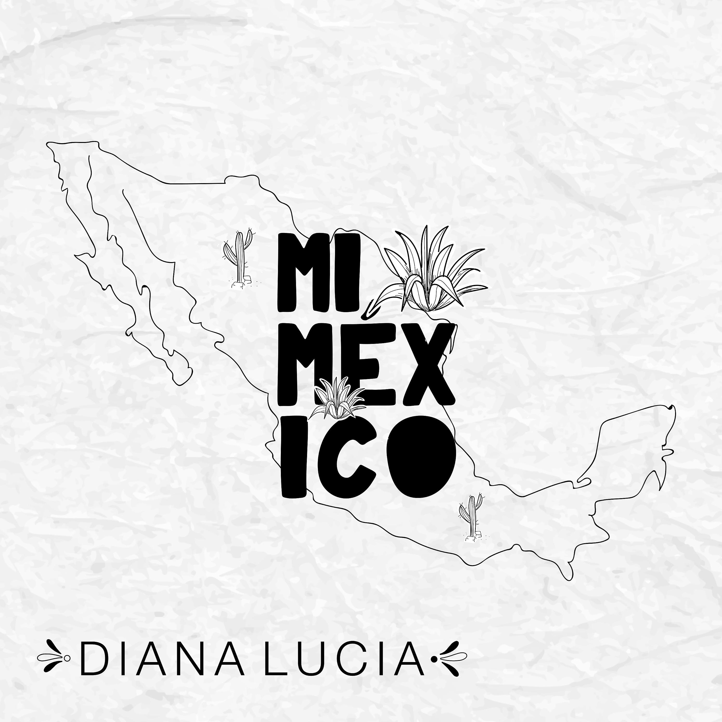Постер альбома Mi México