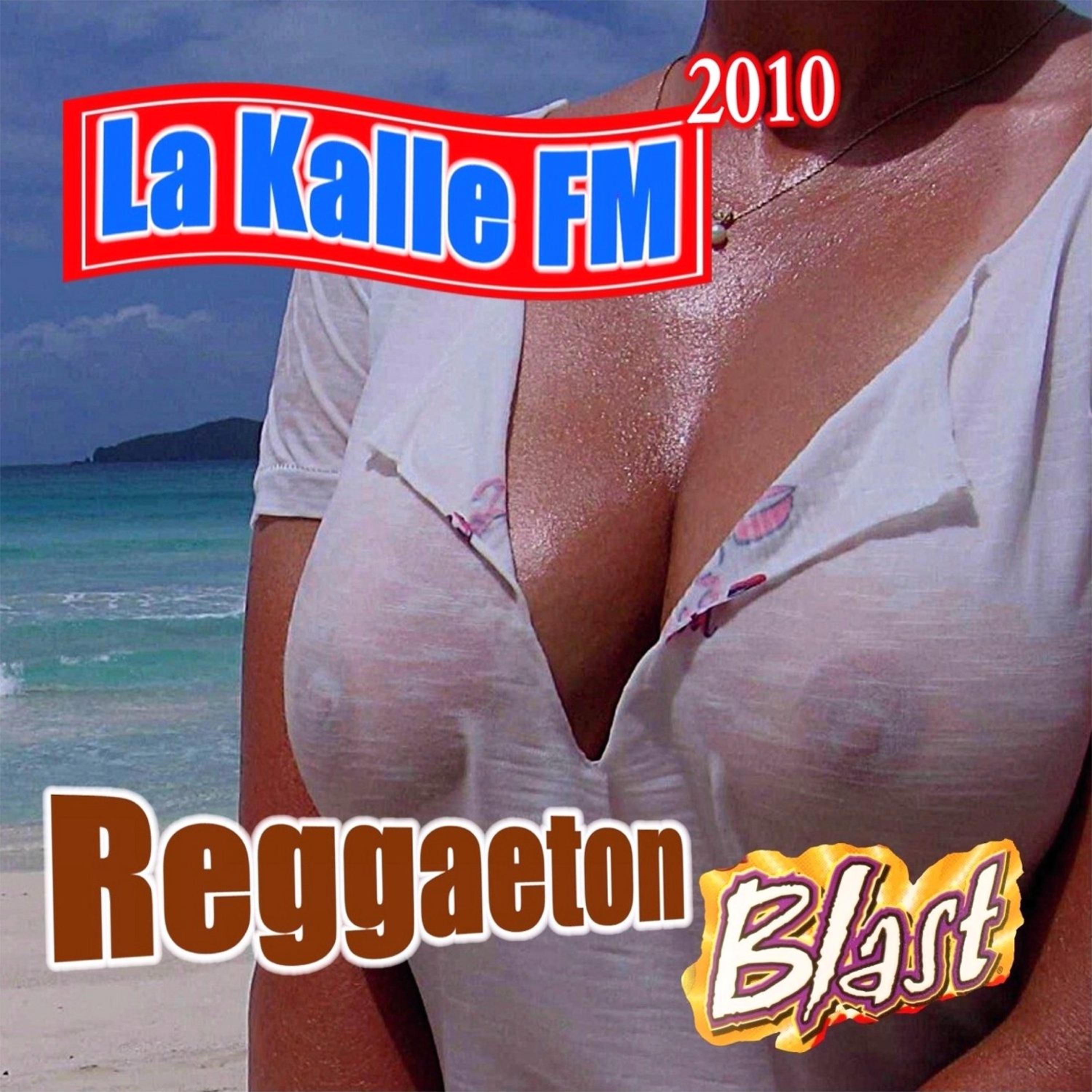Постер альбома Reggaeton Blast 2010