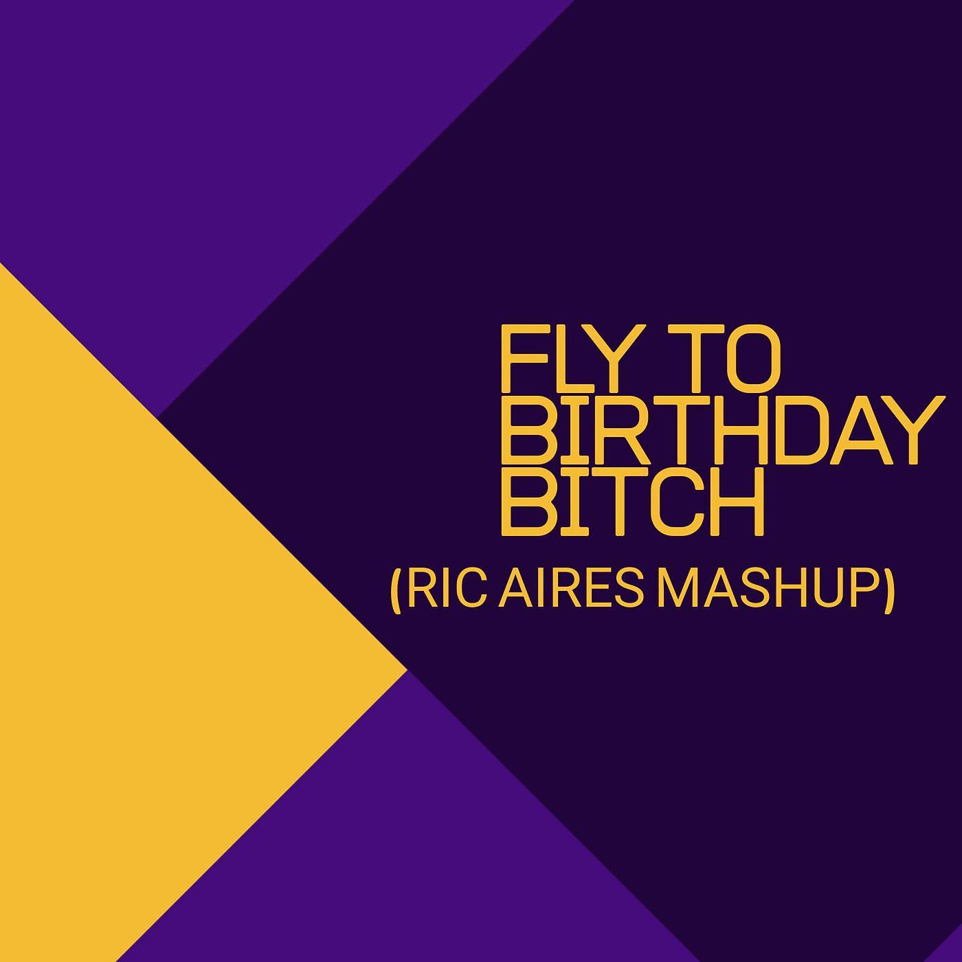 Постер альбома Fly to Birthday Bitch (Mashup)