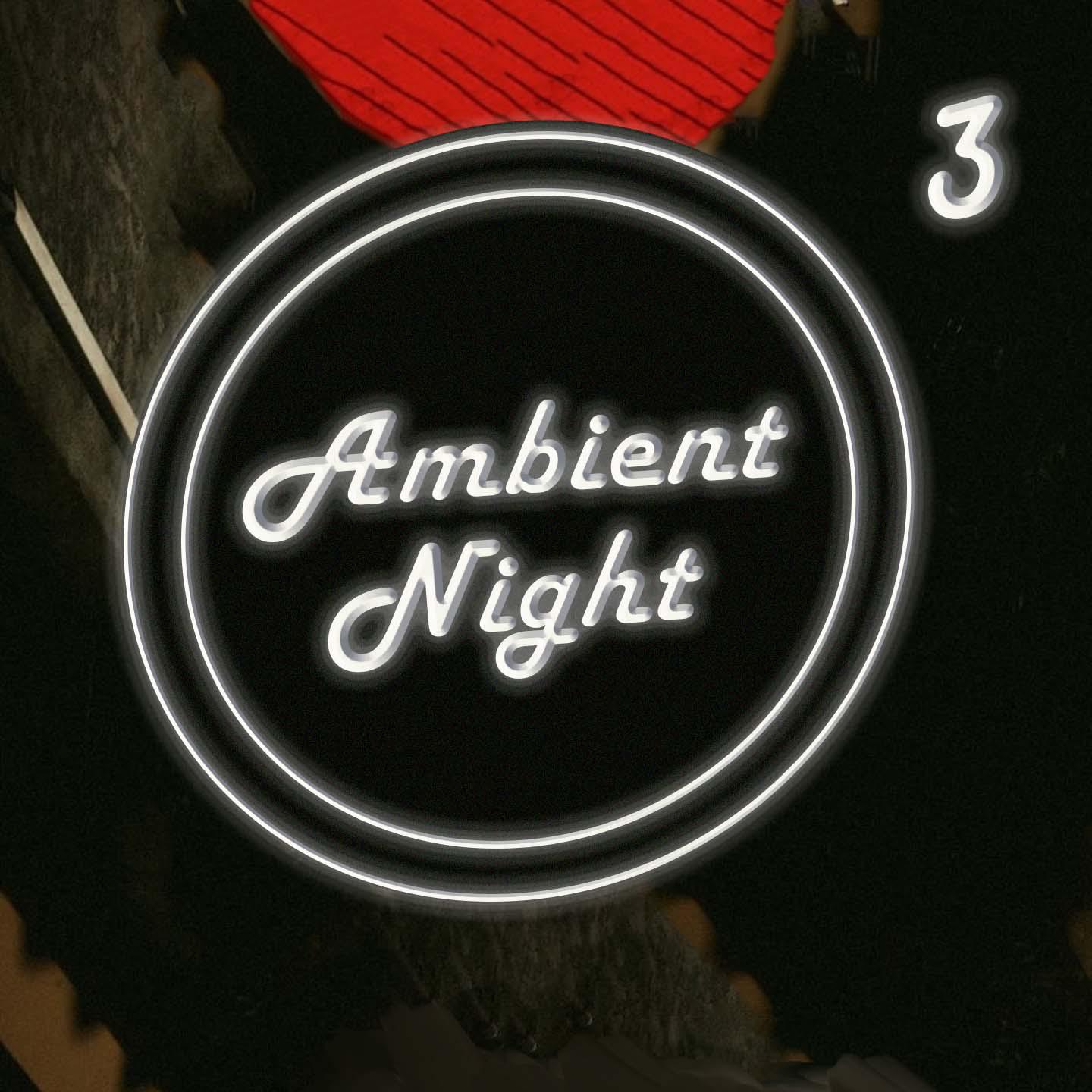 Постер альбома Ambient Nights 3