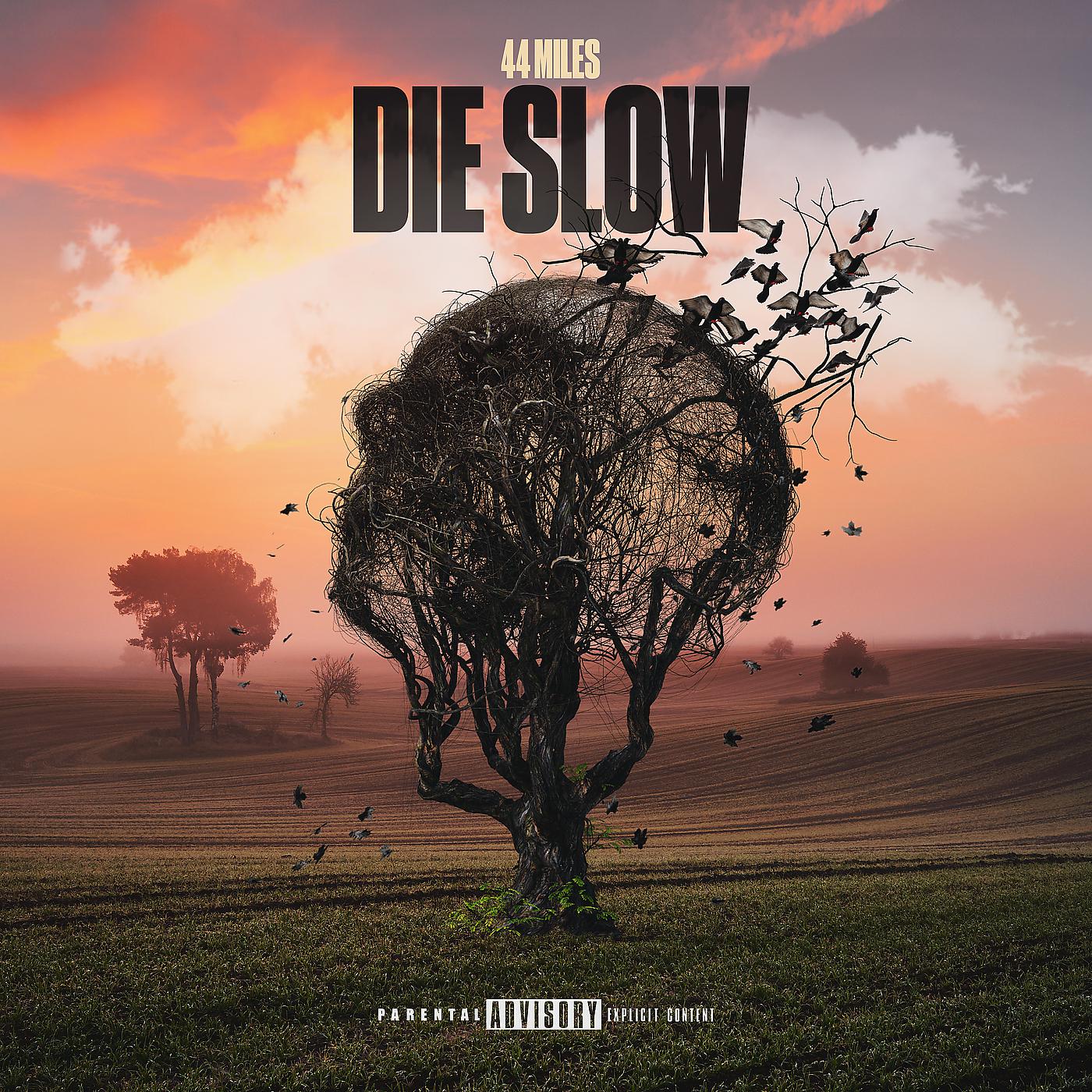 Постер альбома Die Slow
