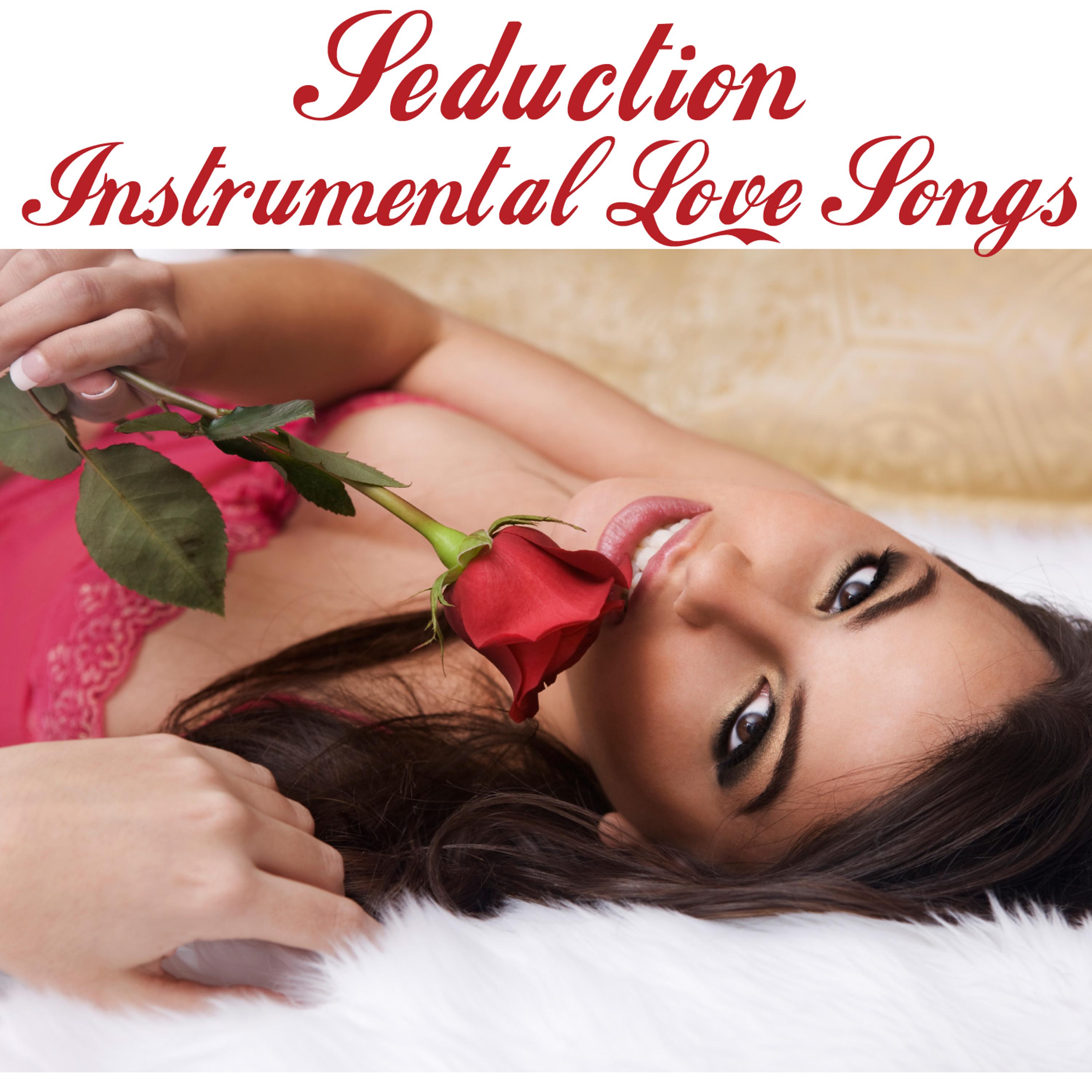 Постер альбома Seduction - Instrumental Love Songs