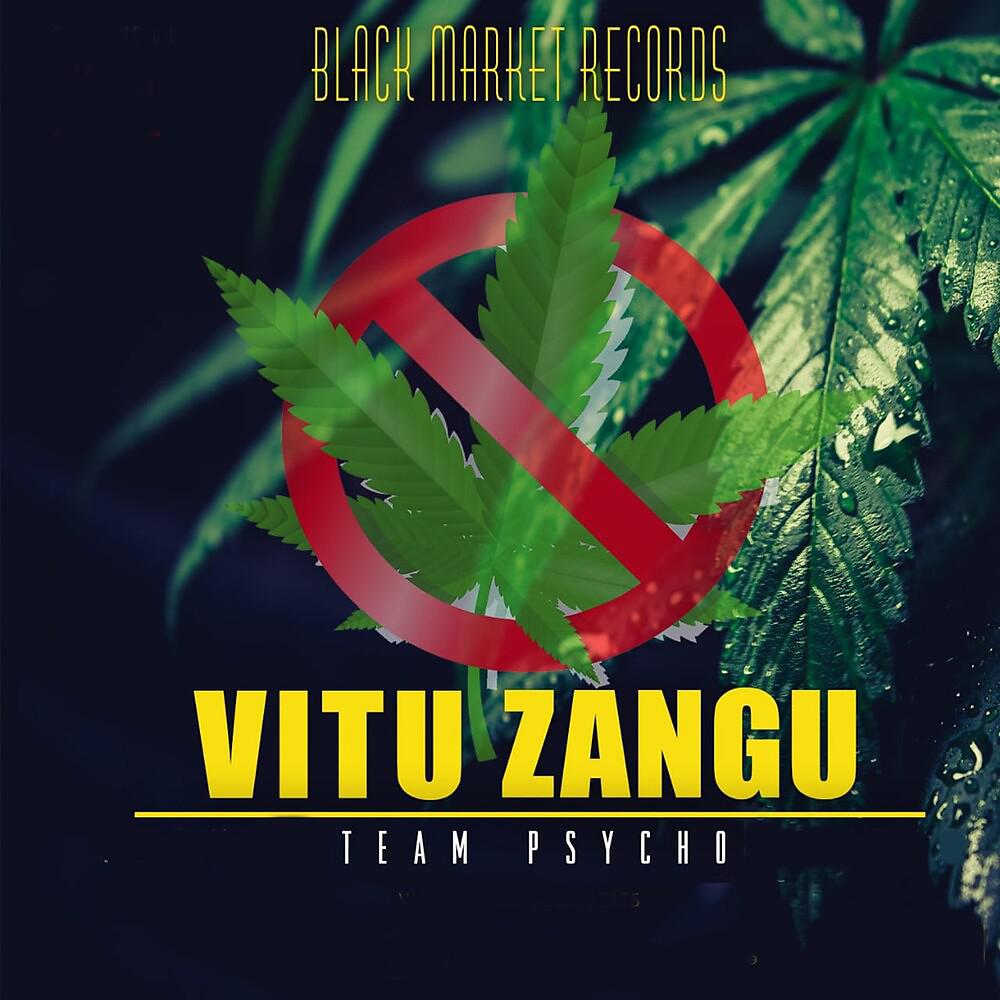 Постер альбома Vitu Zangu