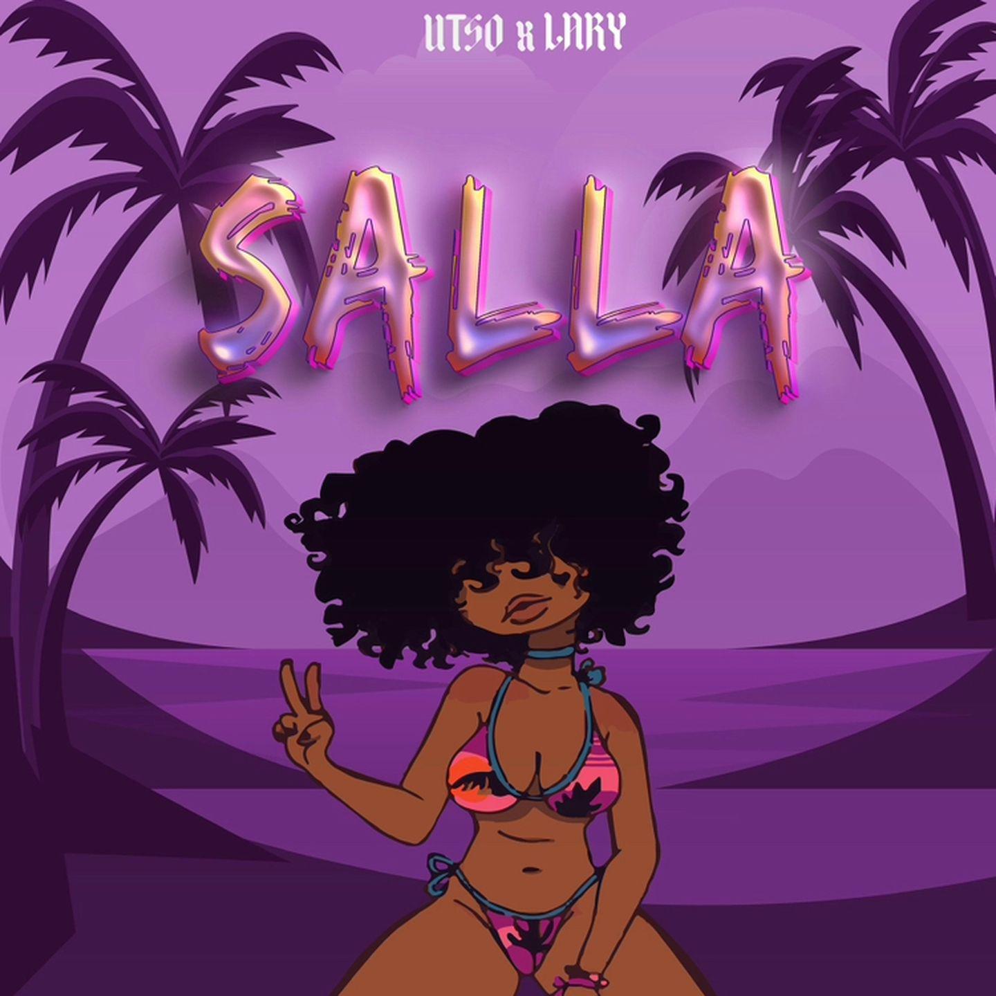 Постер альбома Salla