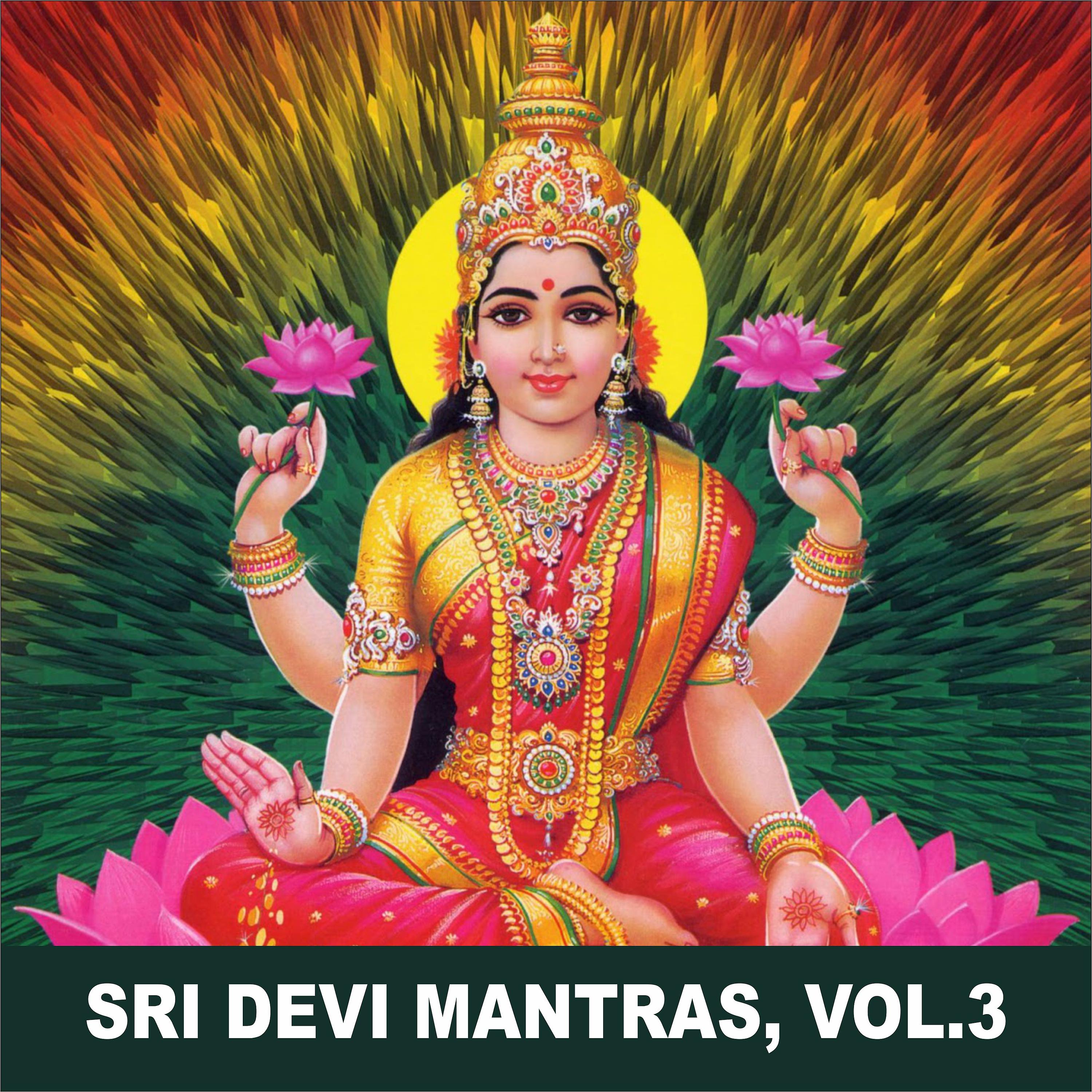 Постер альбома Sri Devi Mantras, Vol. 3