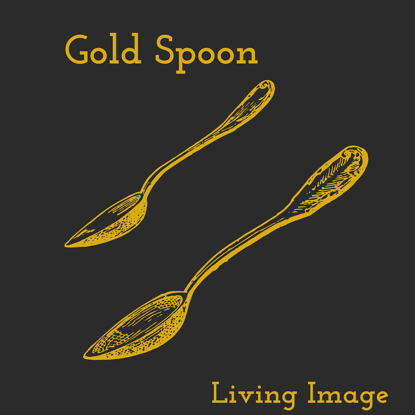 Постер альбома Gold Spoon