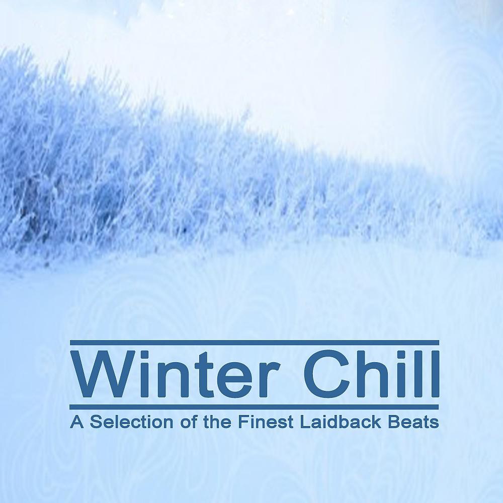 Постер альбома Winter Chill - A Selection of the Finest Laidback Beats & DJ Mix