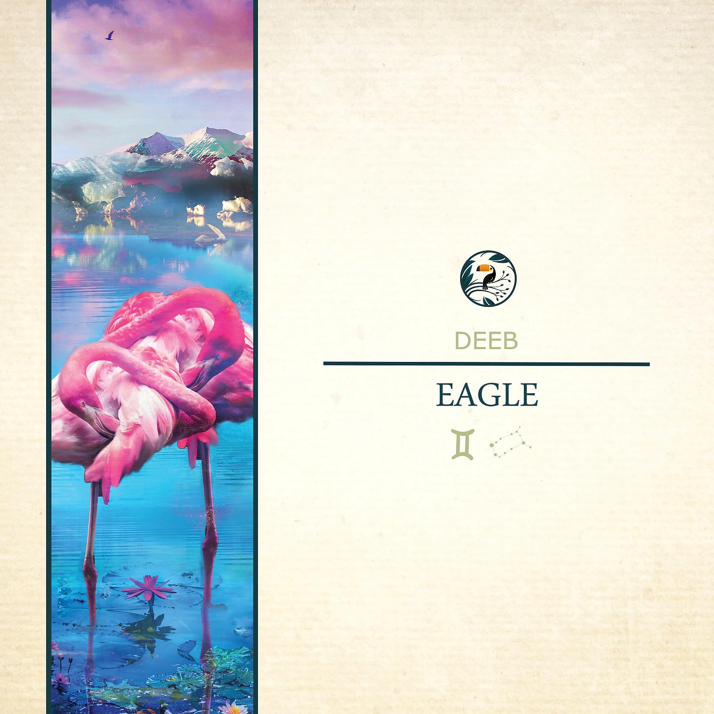 Постер альбома Eagle