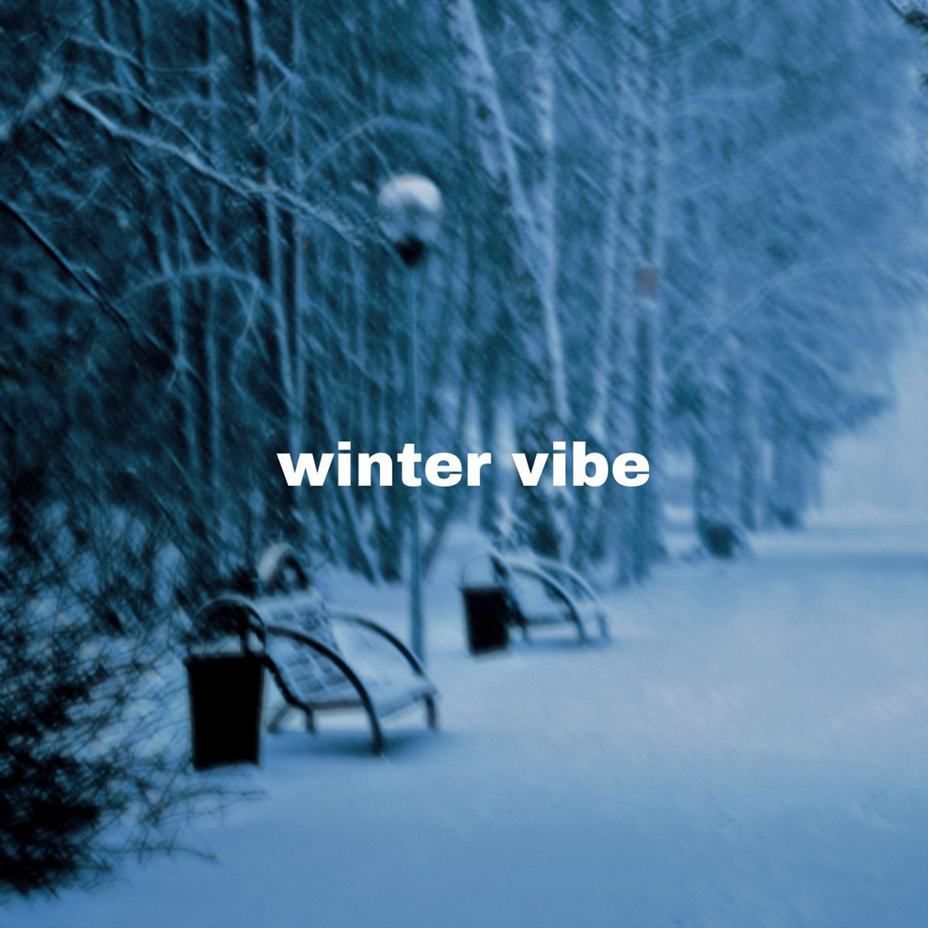 Постер альбома Winter Vibe