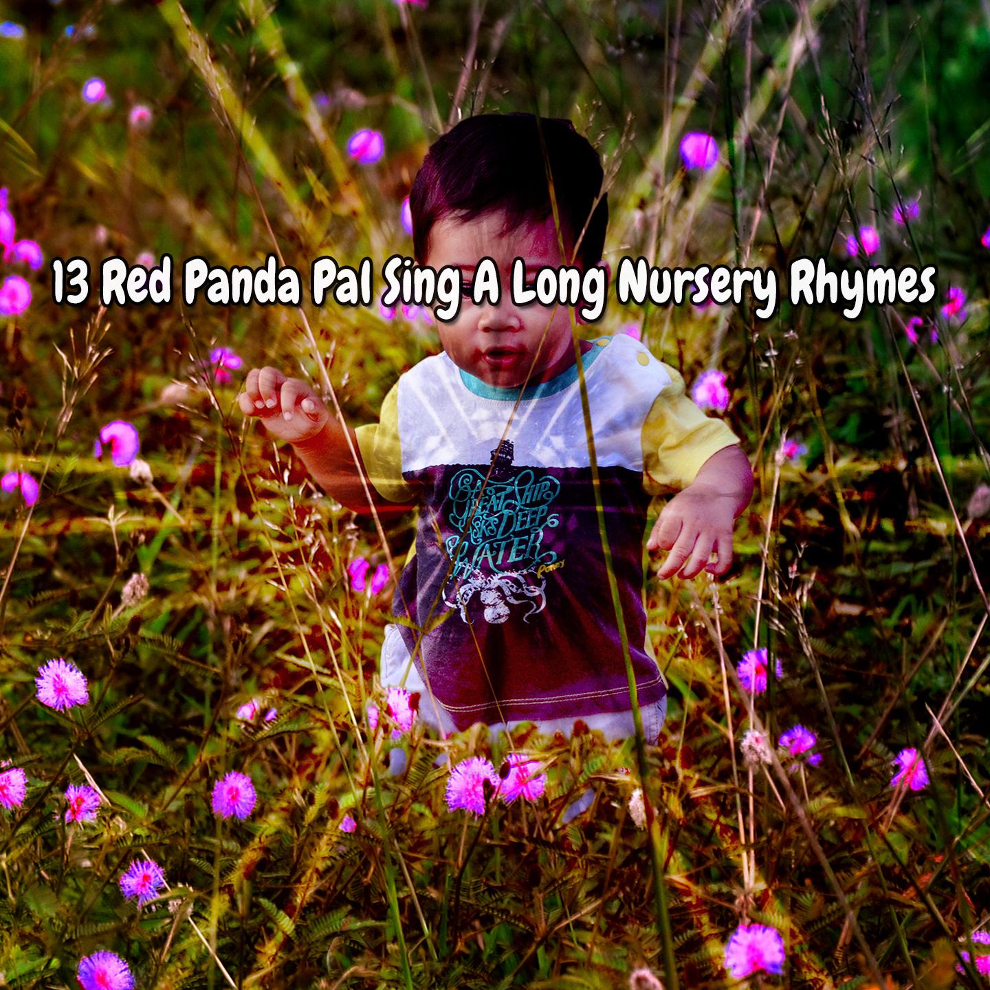 Постер альбома 13 Red Panda Pal Sing A Long Nursery Rhymes