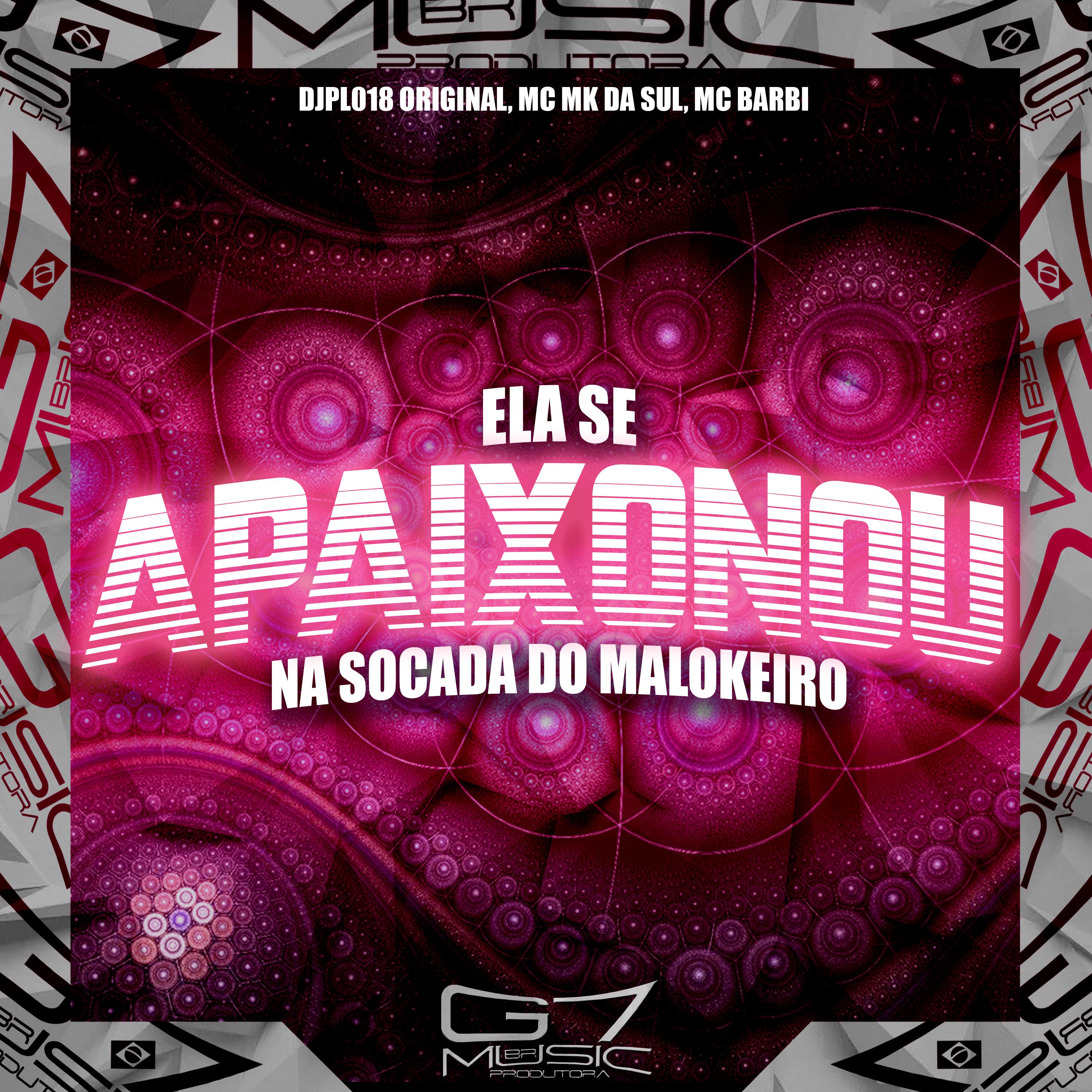Постер альбома Ela Se Apaixonou na Socada do Malokeiro