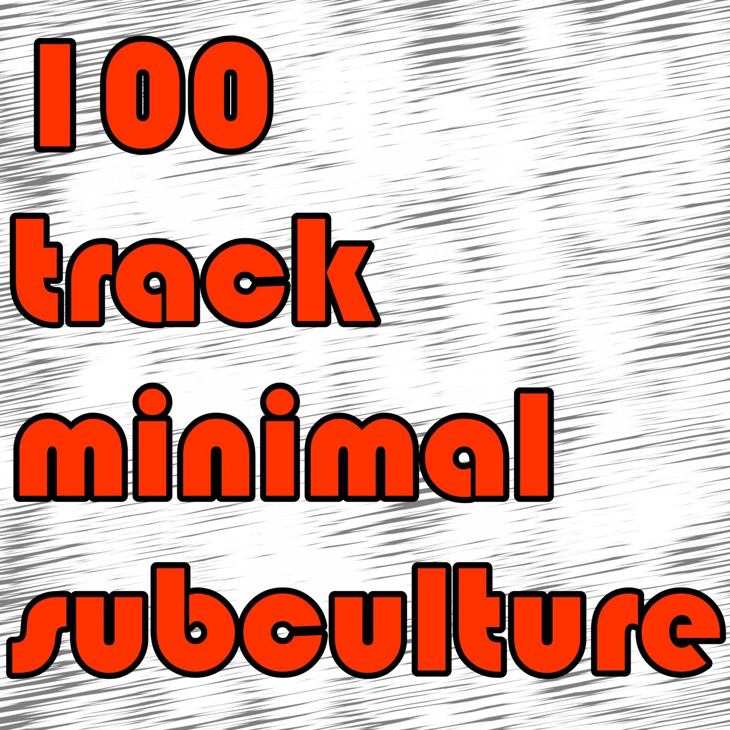 Постер альбома 100 tracks minimal subculture