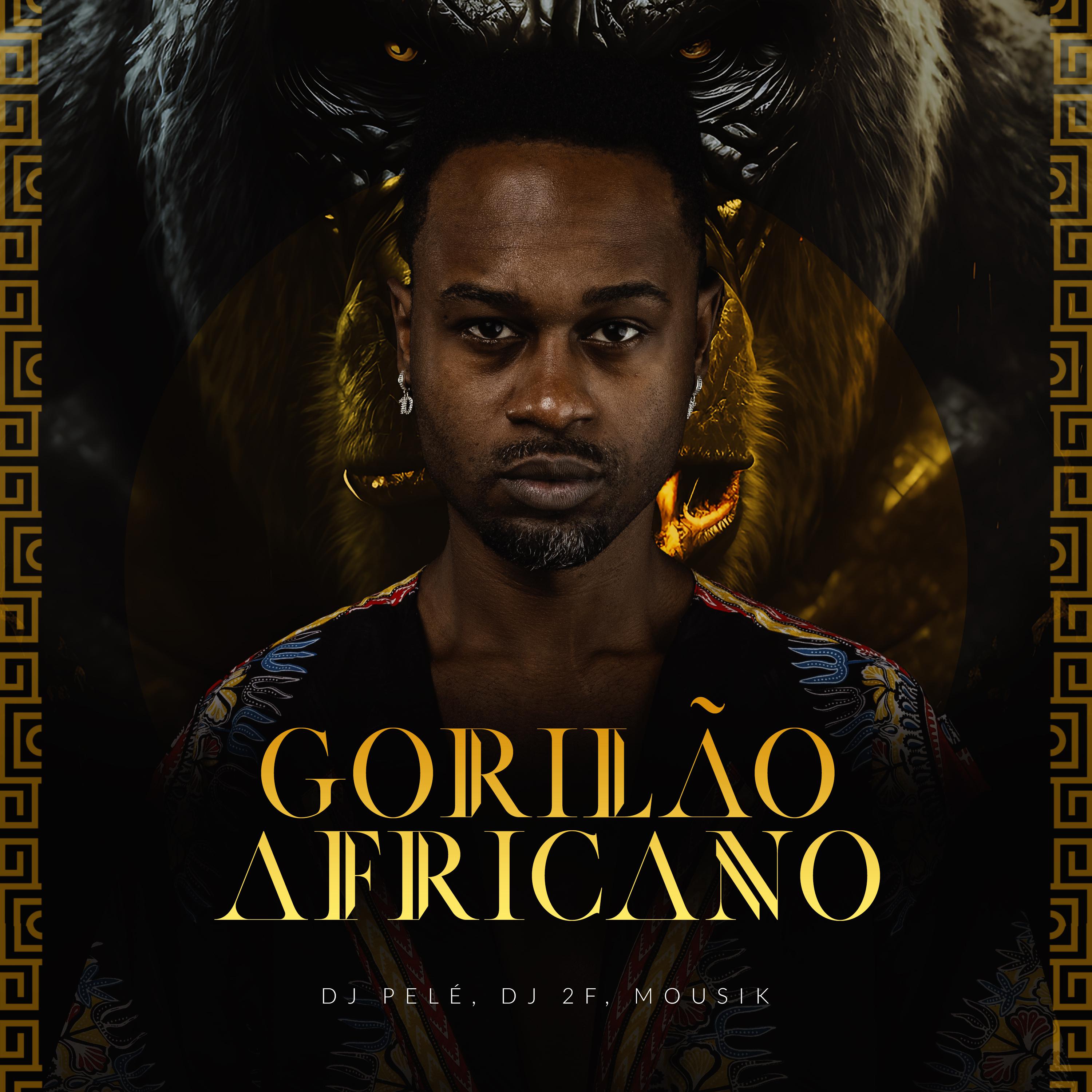 Постер альбома Gorilão Africano