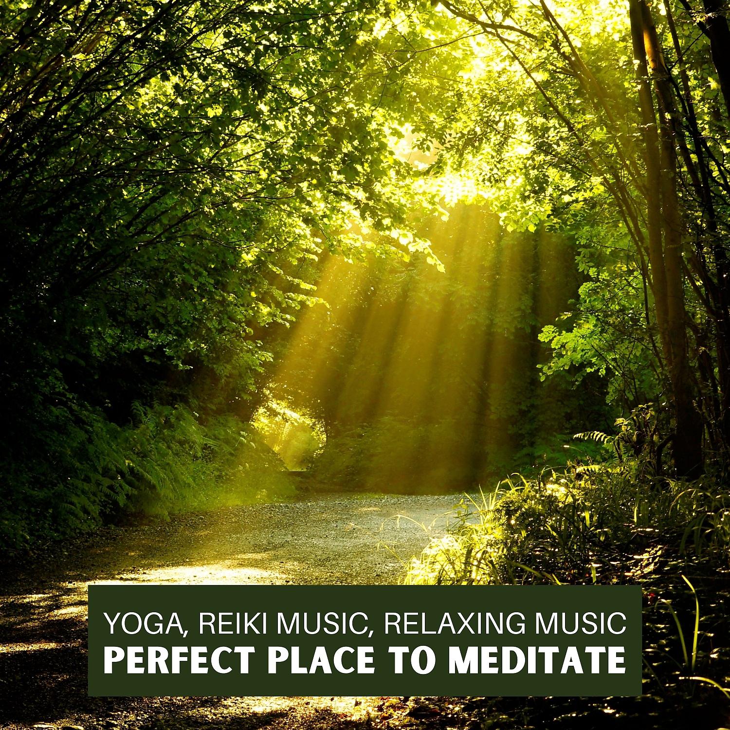 Постер альбома Perfect Place to Meditate