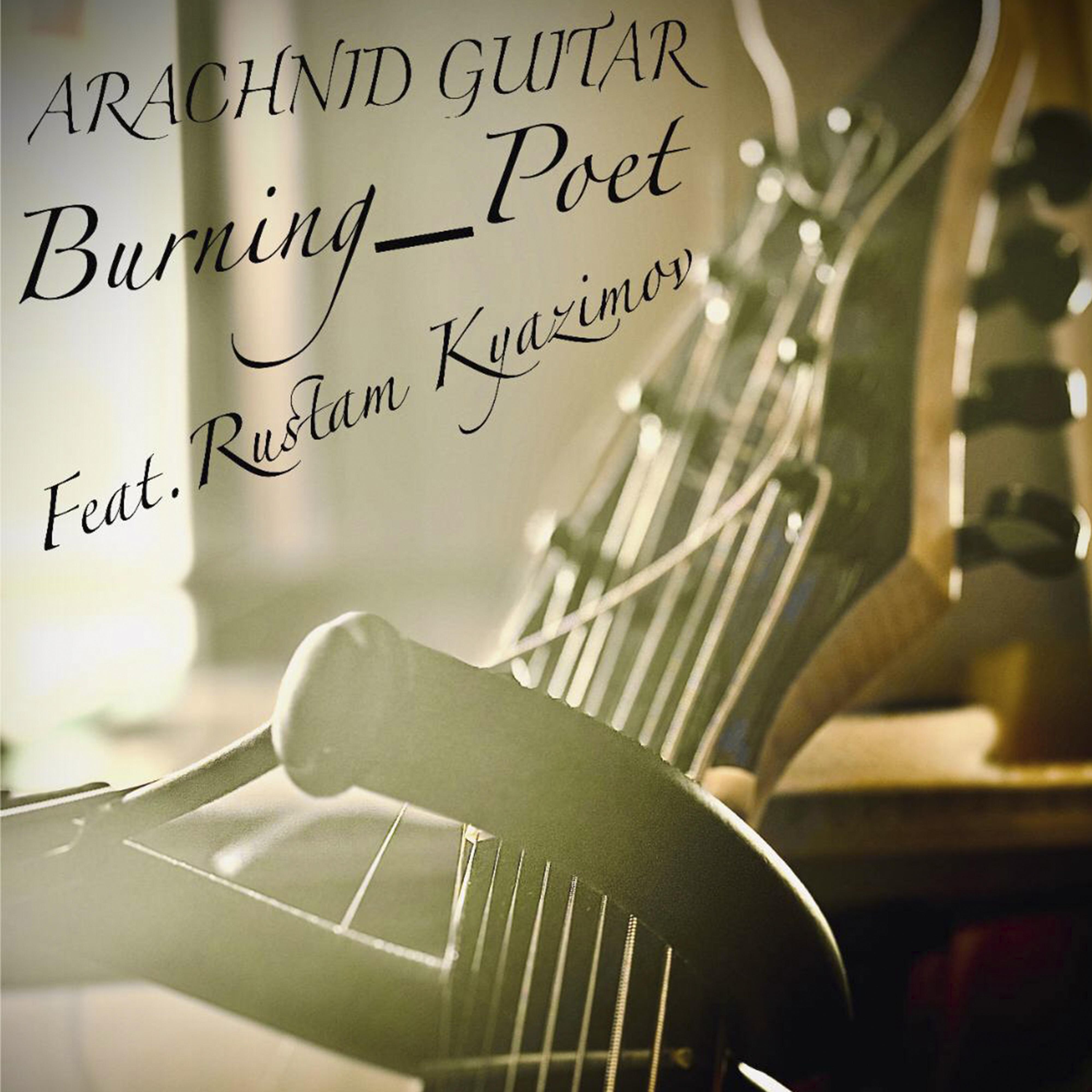 Постер альбома Arachnid Guitar