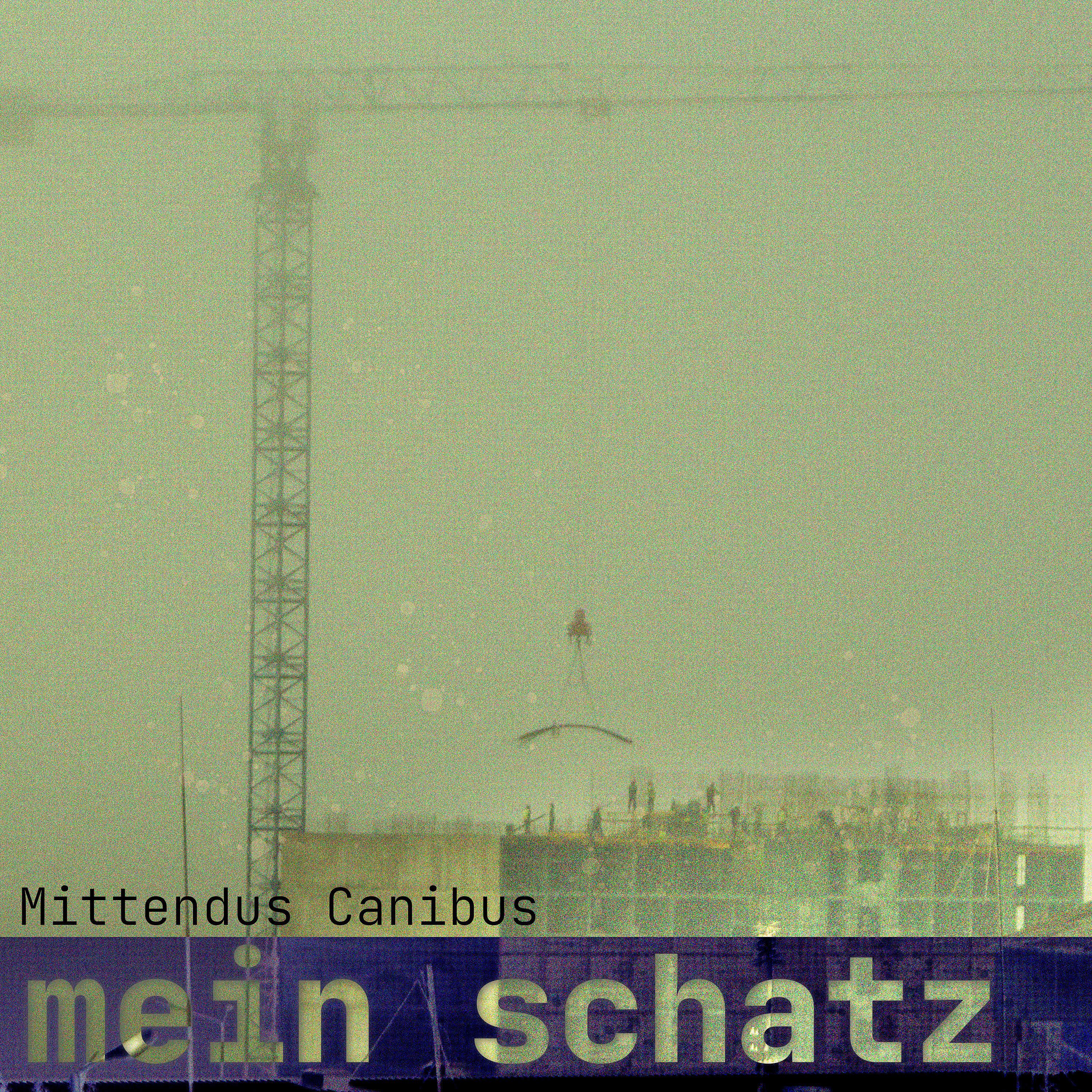 Постер альбома Mein Schatz