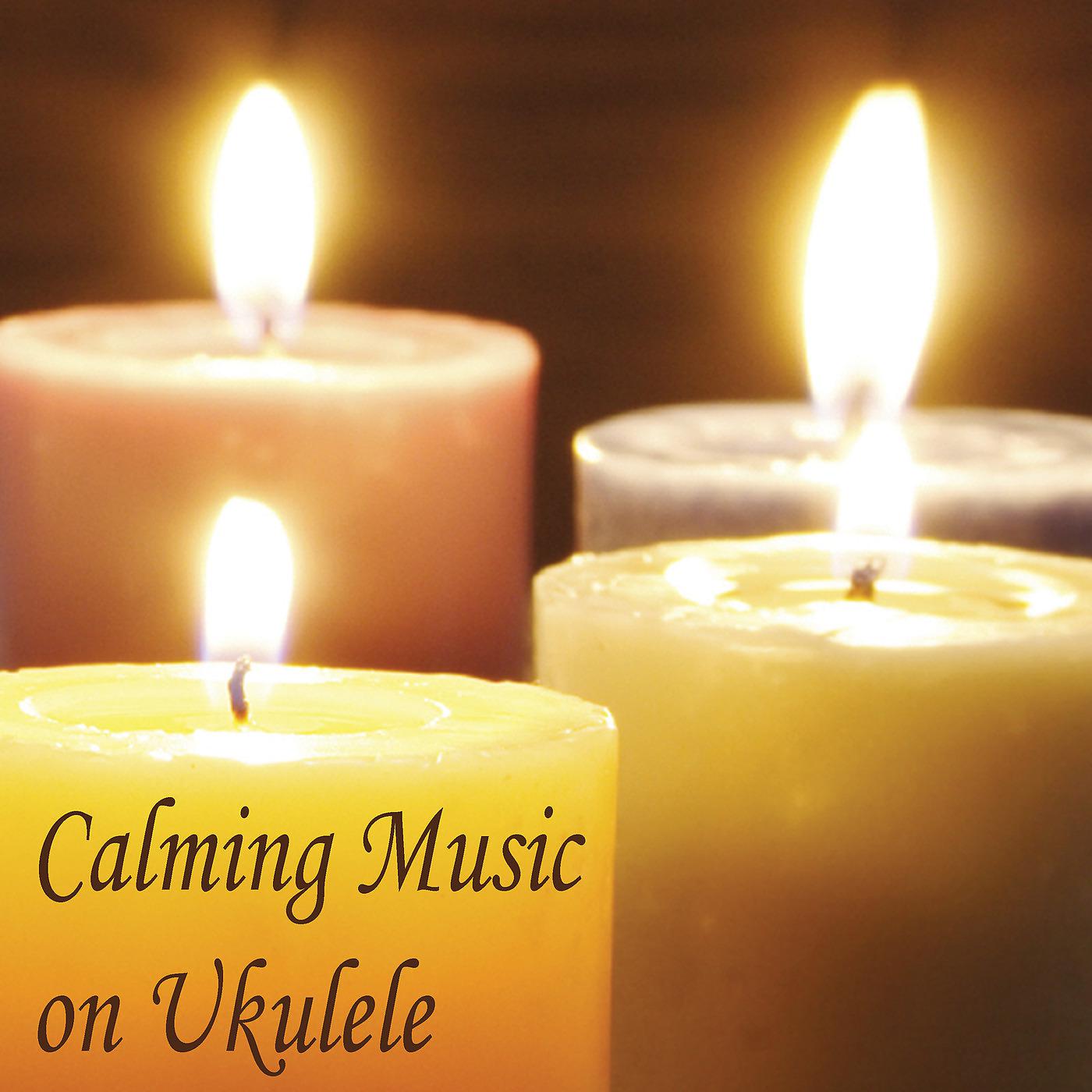 Постер альбома Calming Music on Ukulele