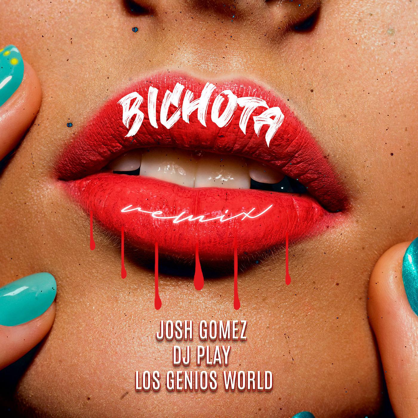 Постер альбома Bichota (Remix)