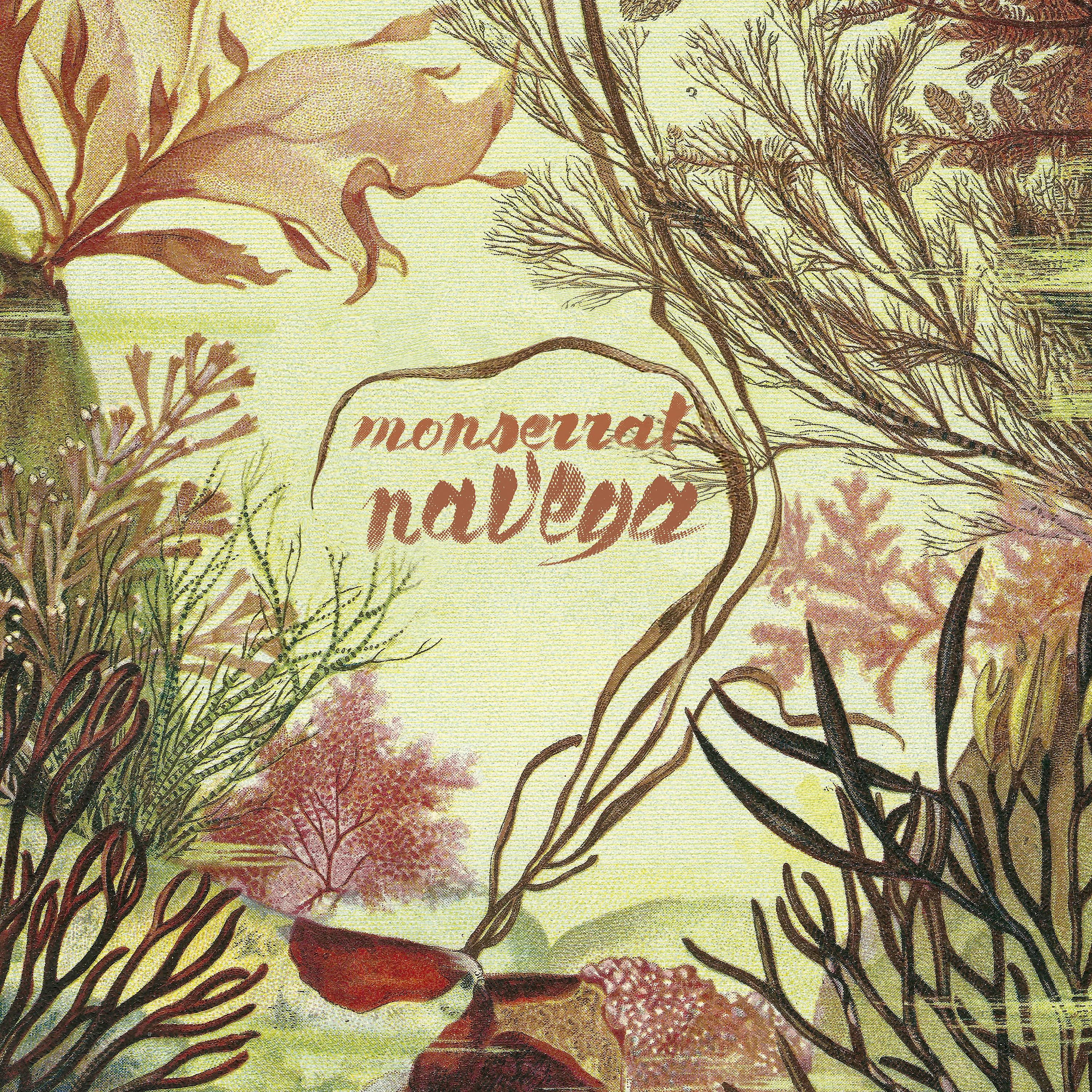 Постер альбома Navega